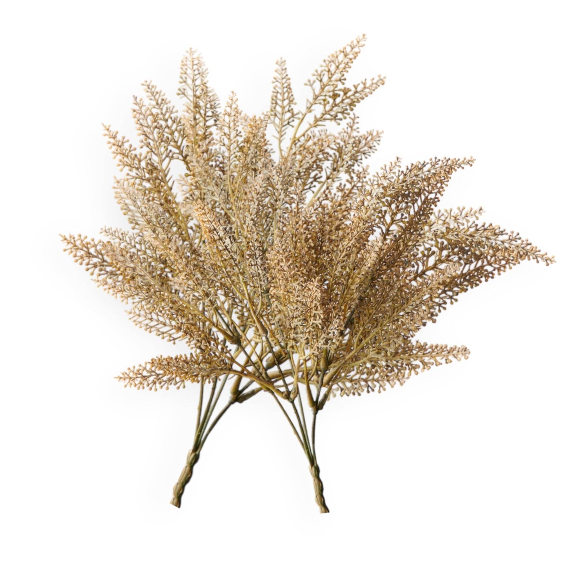 Astilbe Fern Bush Stem | 37cm - Wander & Wild Home