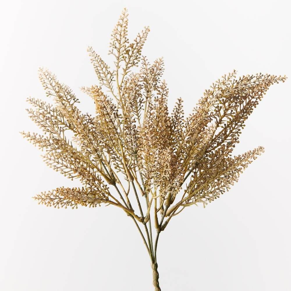 Astilbe Fern Bush Stem | 37cm - Wander & Wild Home