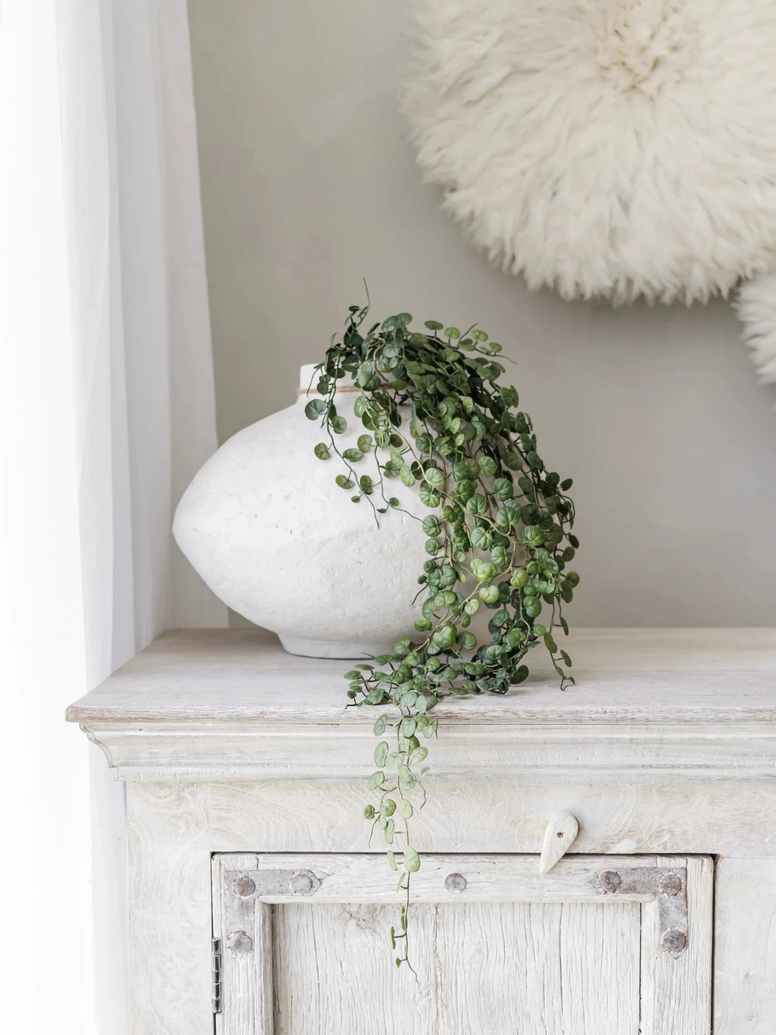 Button Fern Hanging Stem | 86cm - Wander & Wild Home