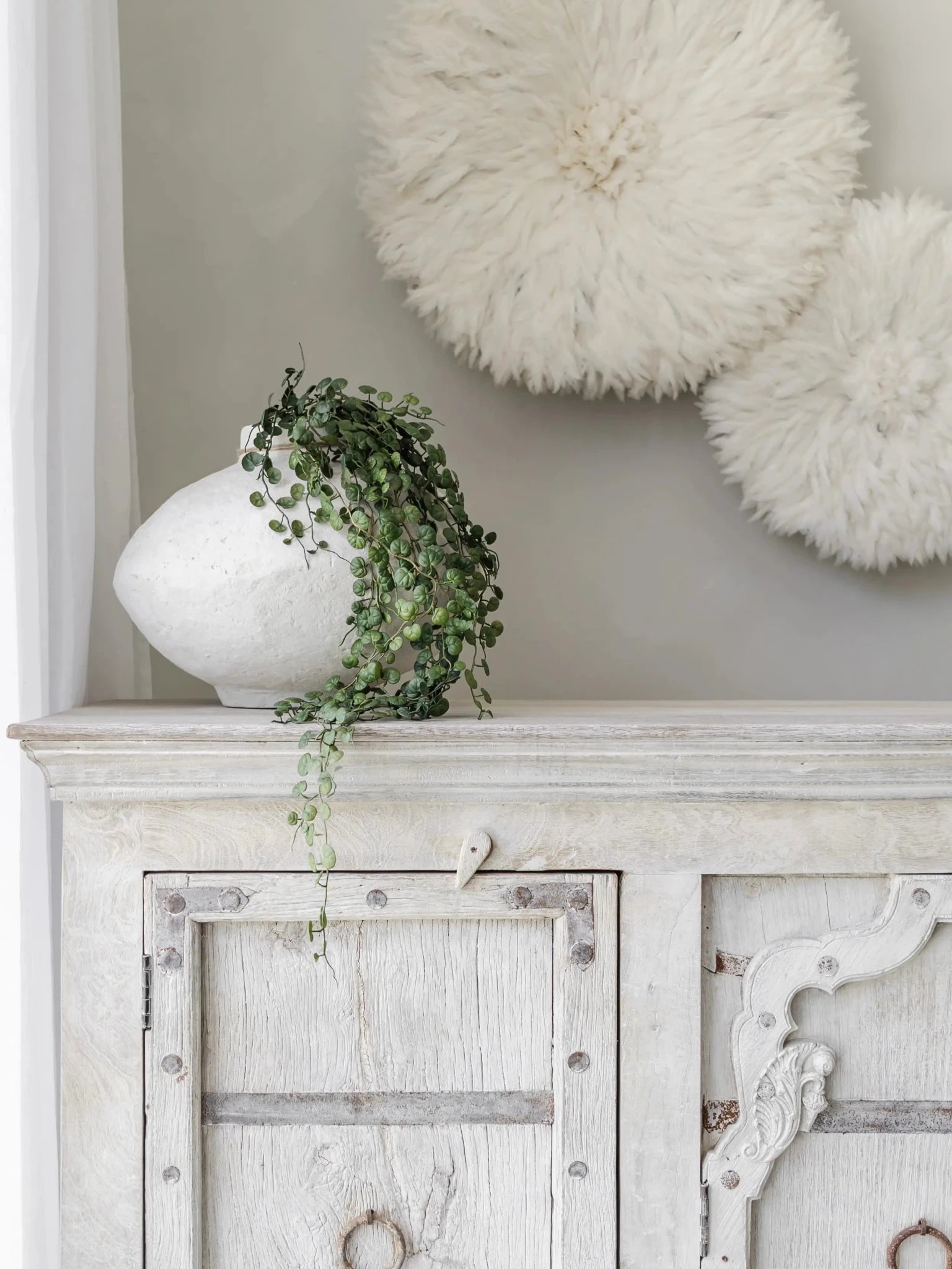 Button Fern Hanging Stem | 86cm - Wander & Wild Home
