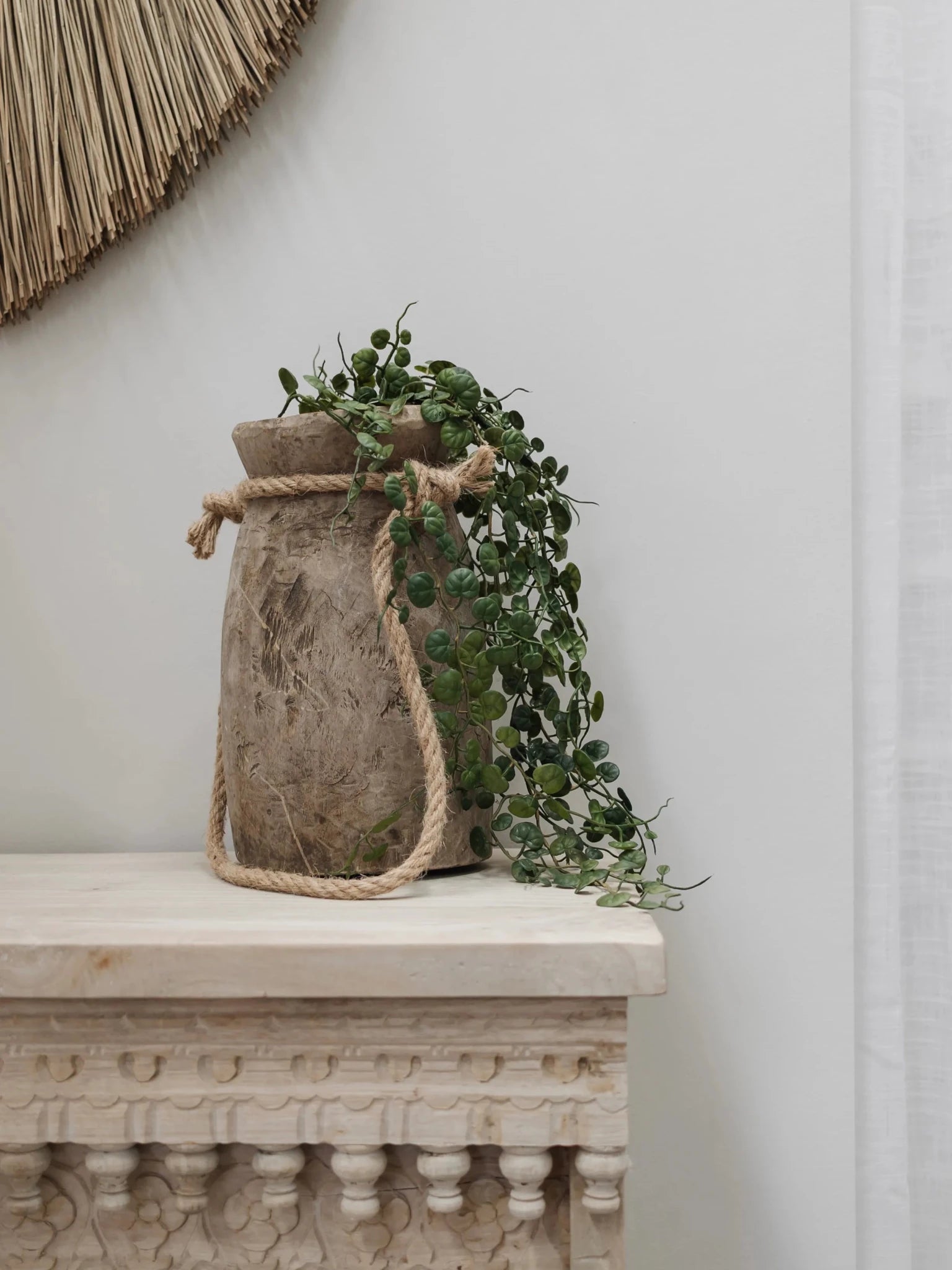 Button Fern Hanging Stem | 86cm - Wander & Wild Home