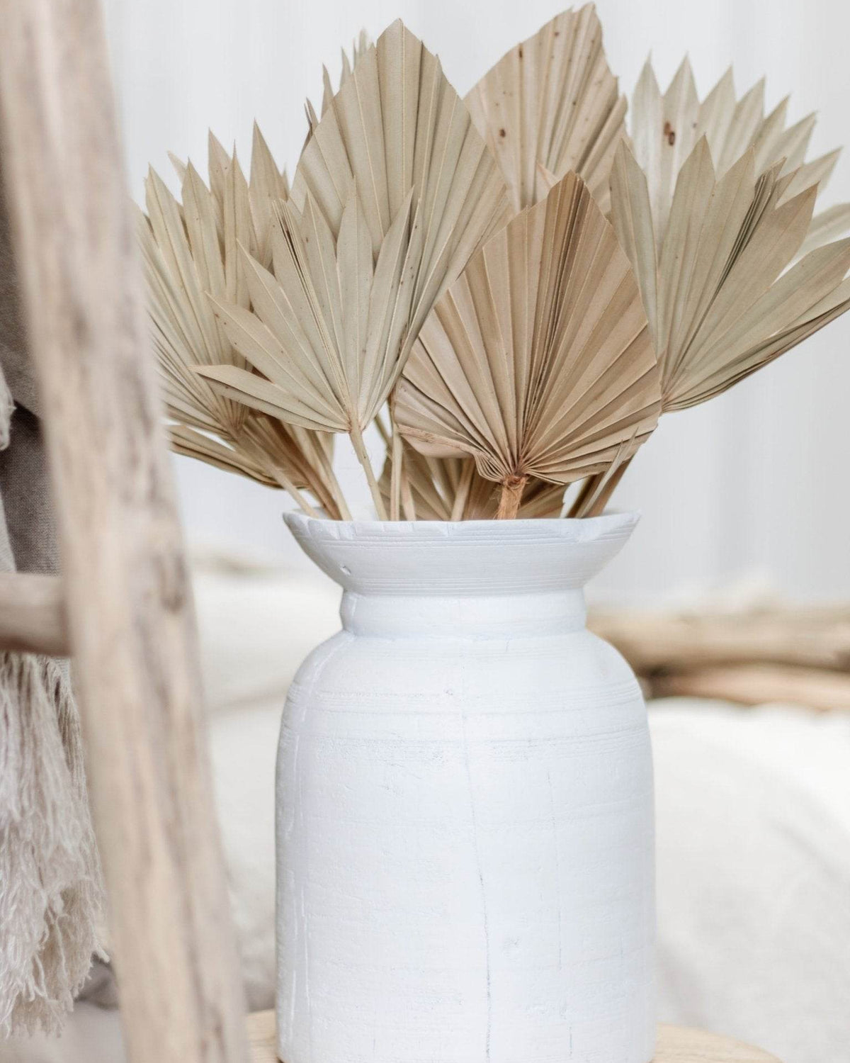 Dried Palm Fans | Natural - Wander & Wild Home