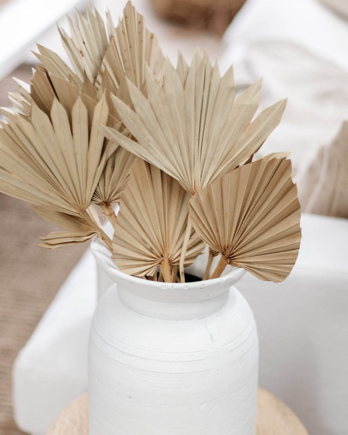 Dried Palm Fans | Natural - Wander & Wild Home