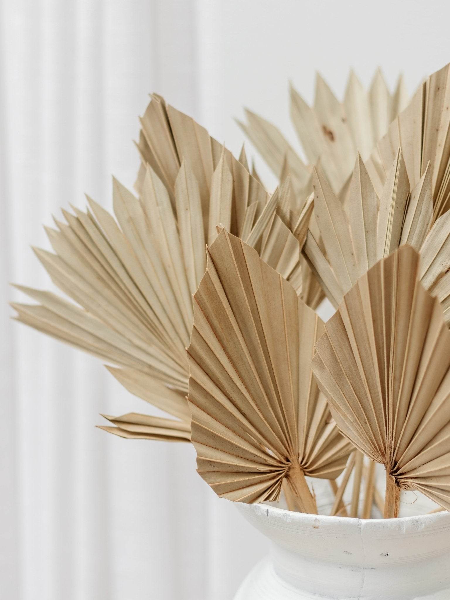 Dried Palm Spears | Natural - Wander & Wild Home