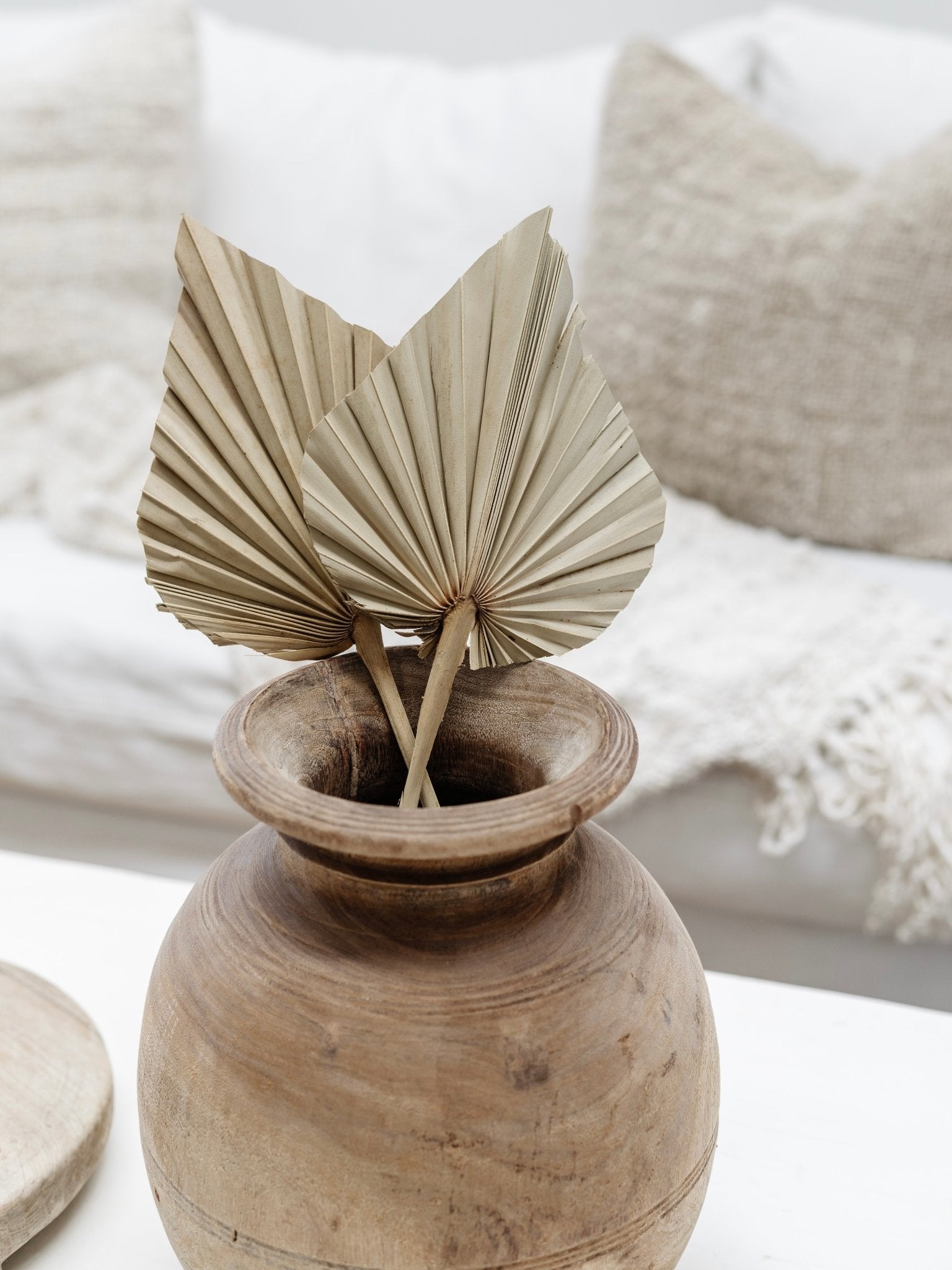 Dried Palm Spears | Natural - Wander & Wild Home