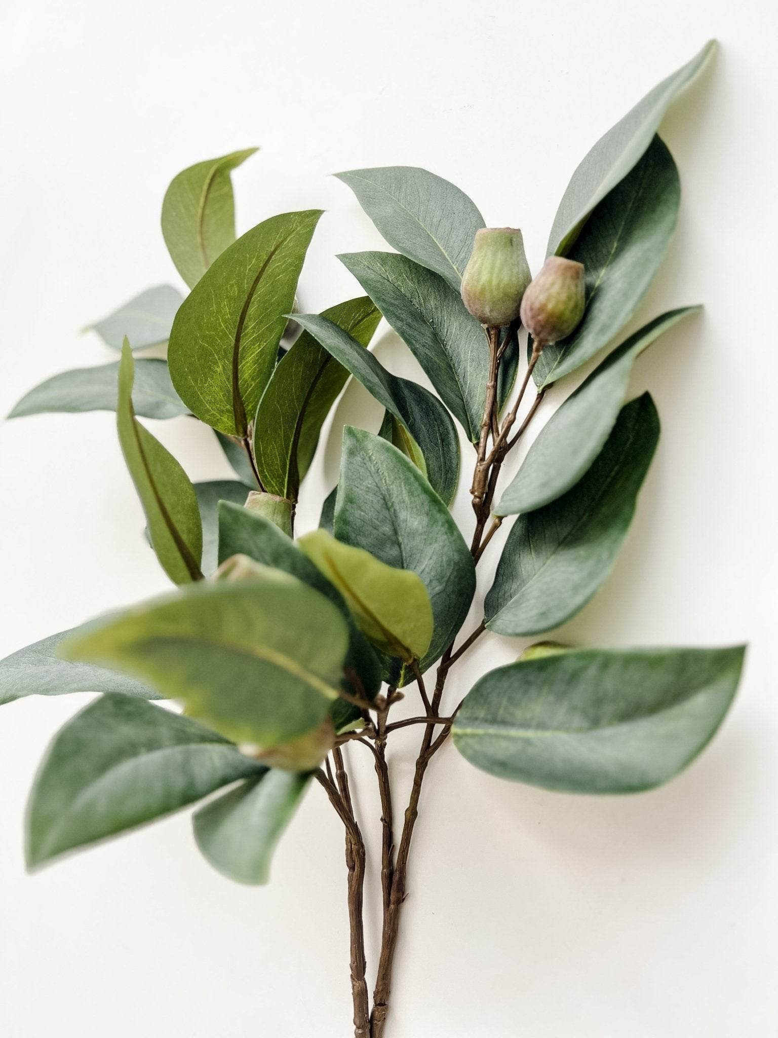 Eucalyptus Gum Nut Stem | 61cm - Wander & Wild Home