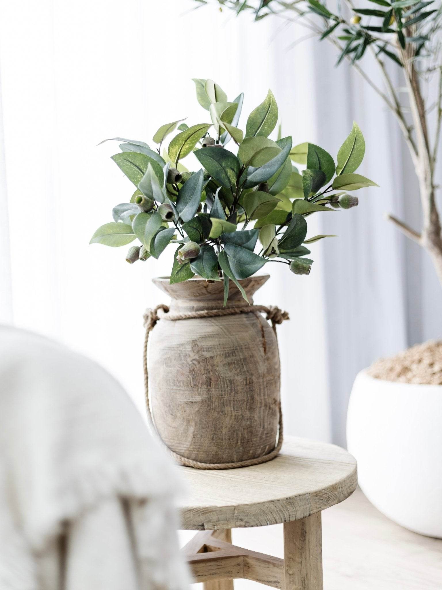 Eucalyptus Gum Nut Stem | 61cm - Wander & Wild Home