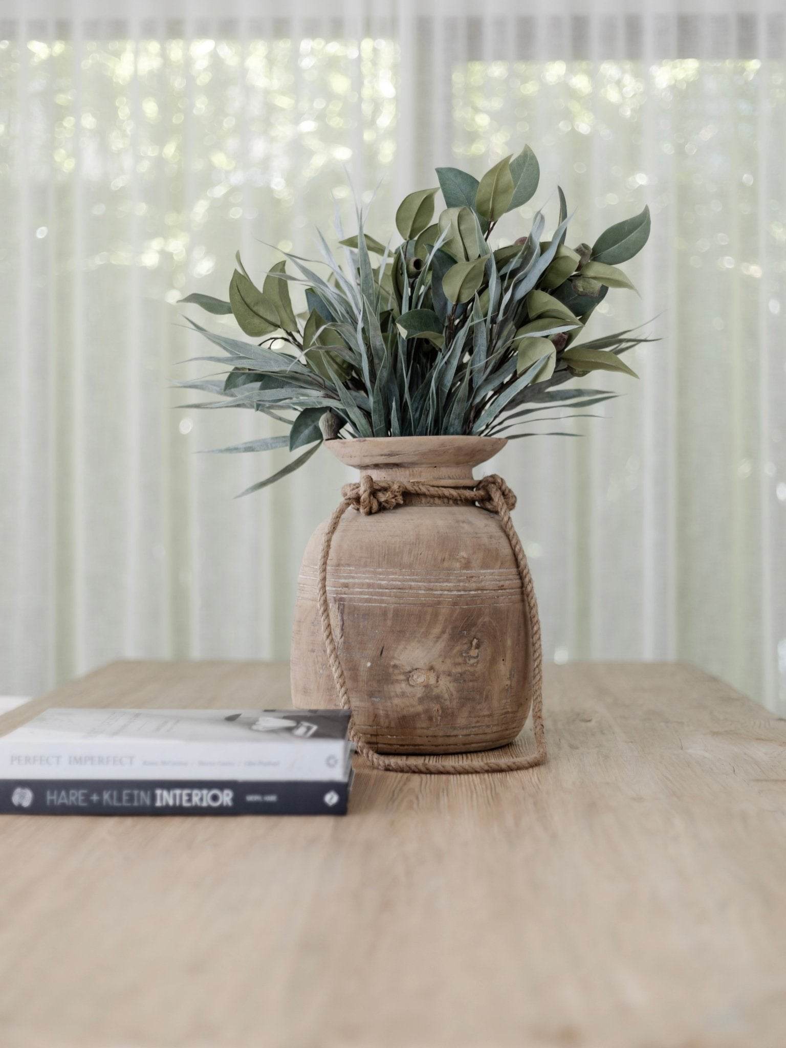 Eucalyptus Gum Nut Stem | 61cm - Wander & Wild Home
