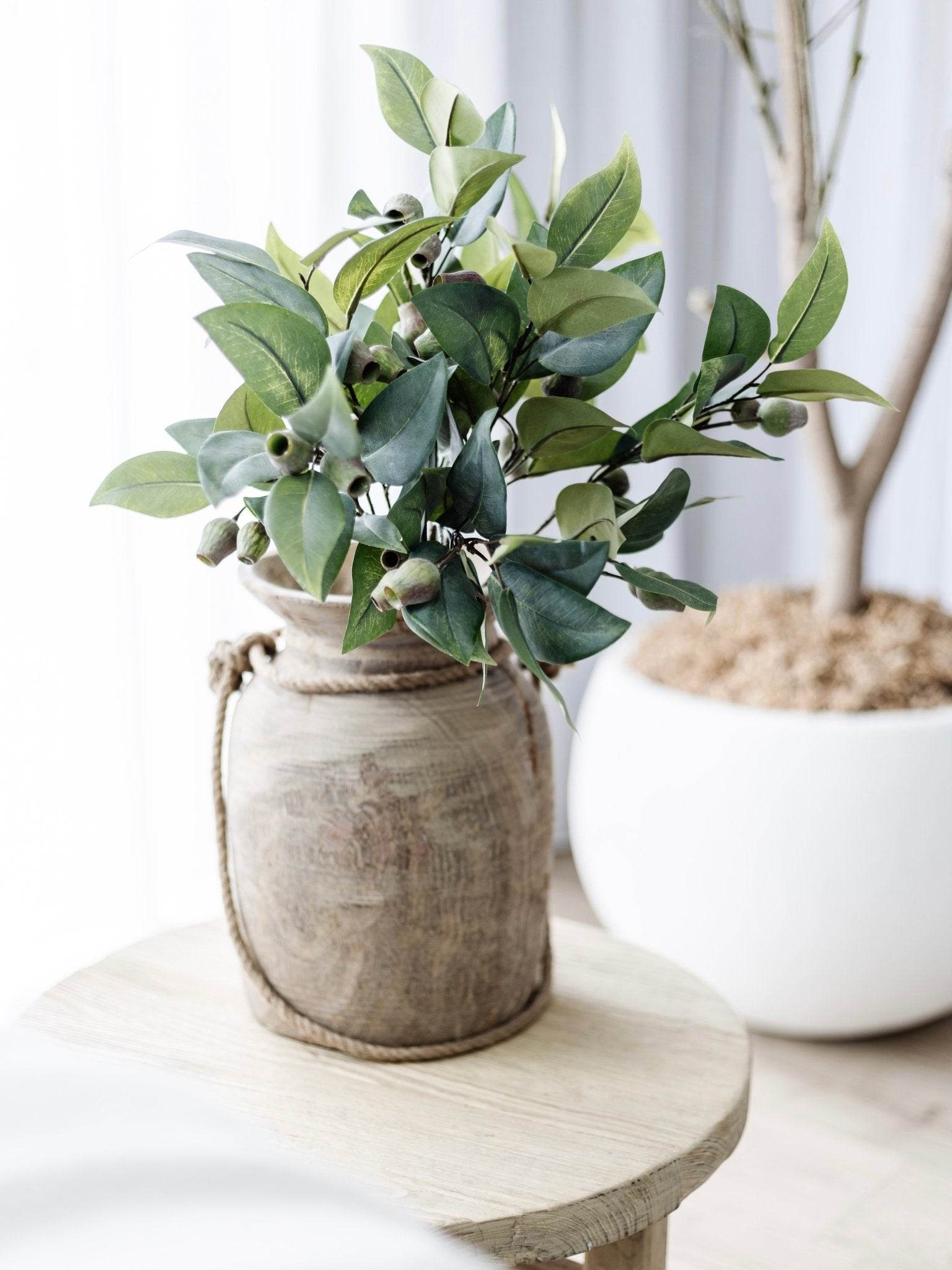 Eucalyptus Gum Nut Stem | 61cm - Wander & Wild Home