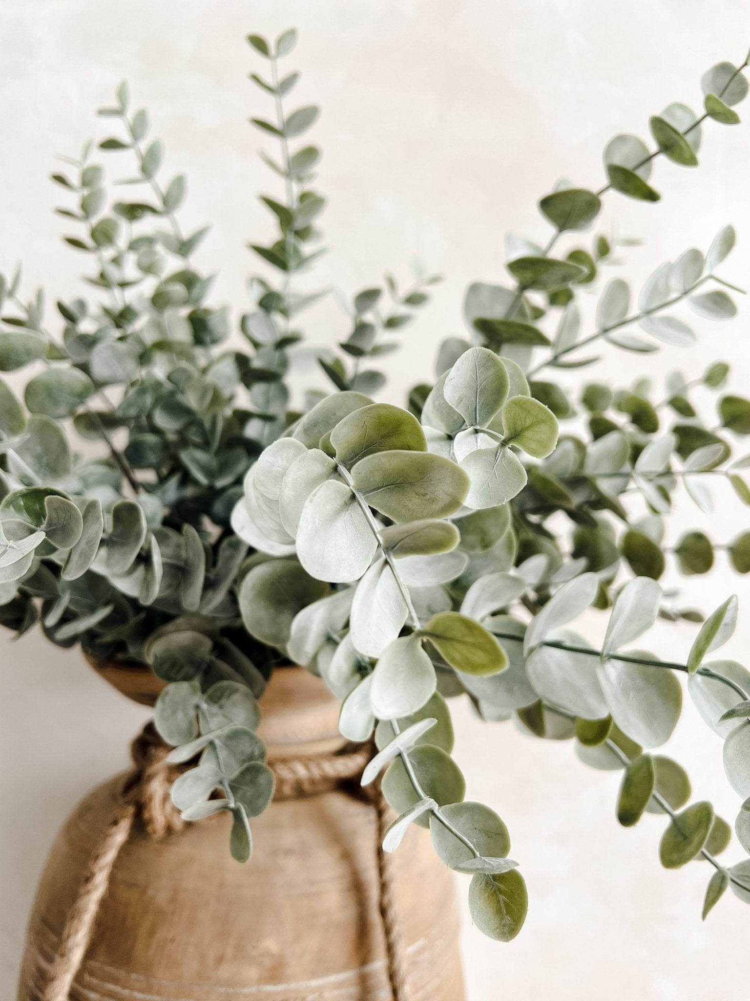 Eucalyptus Spray Stem | 56cm - Wander & Wild Home