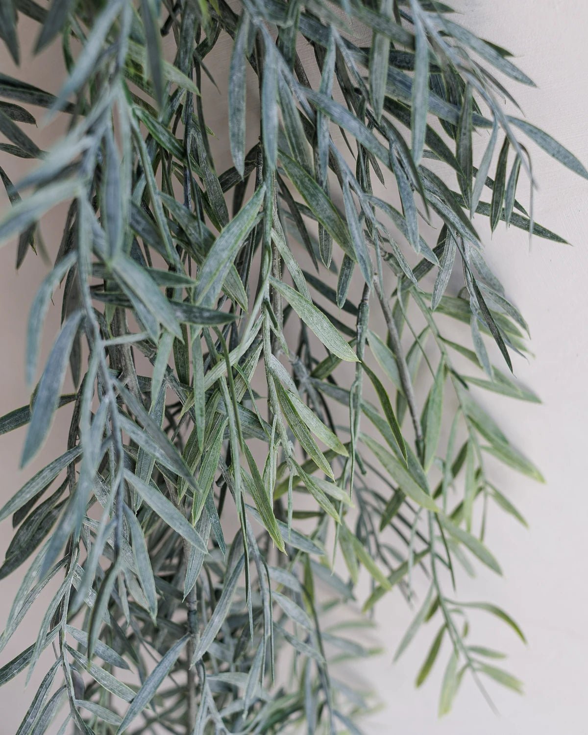 Faux Acacia Leaf Hanging Bush | 76cm - Wander & Wild Home