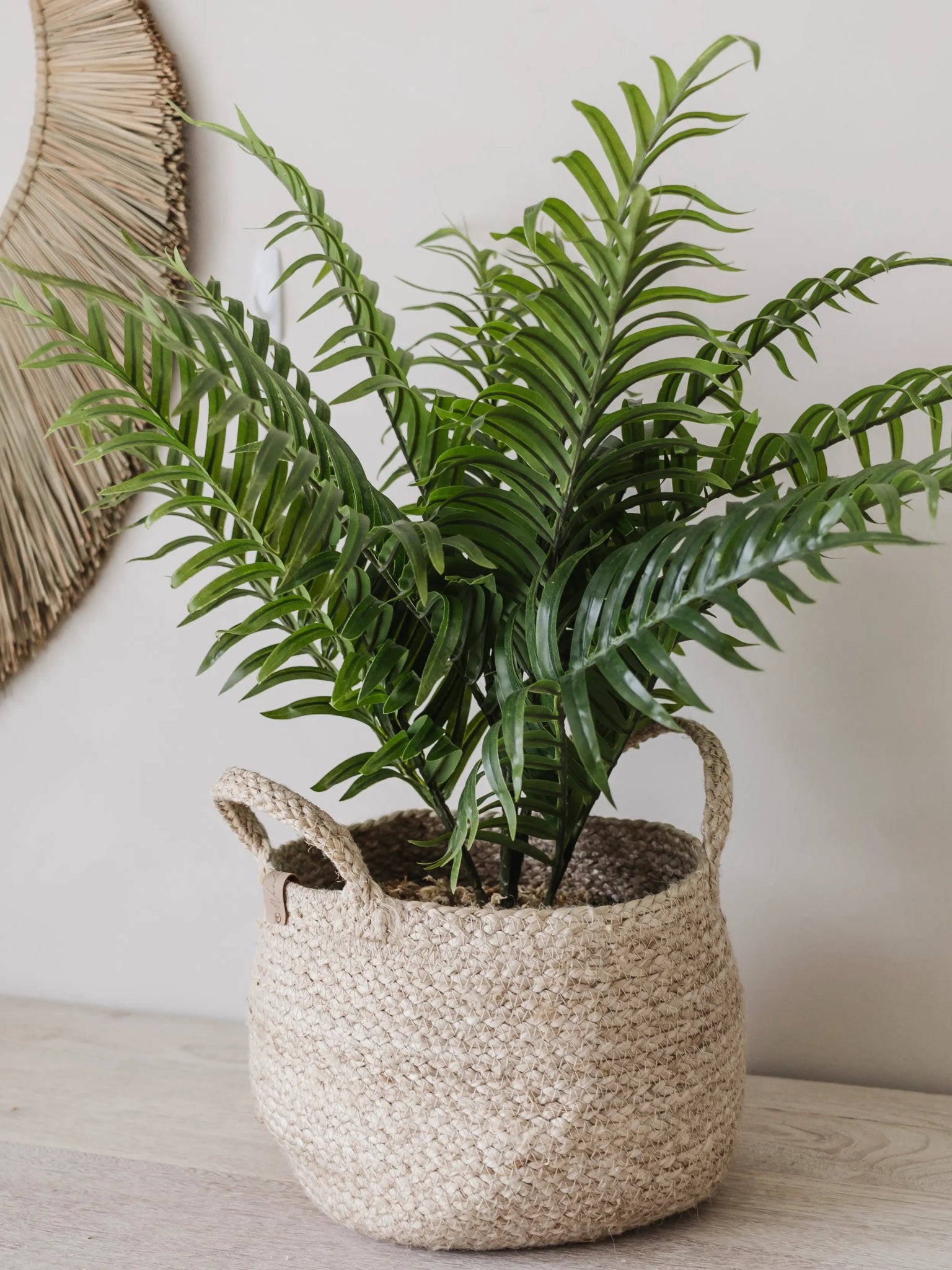 Faux Boston Fern | Med/Lge - Wander & Wild Home