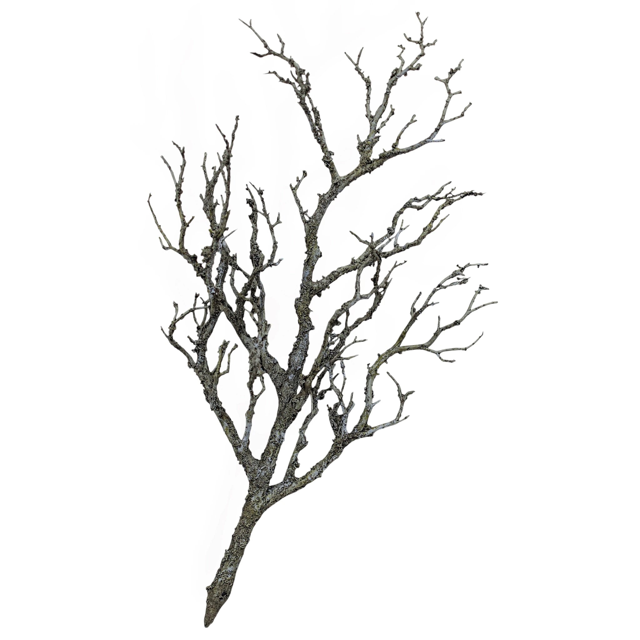 Faux Coral Twig Branch | 58cm - Wander & Wild Home