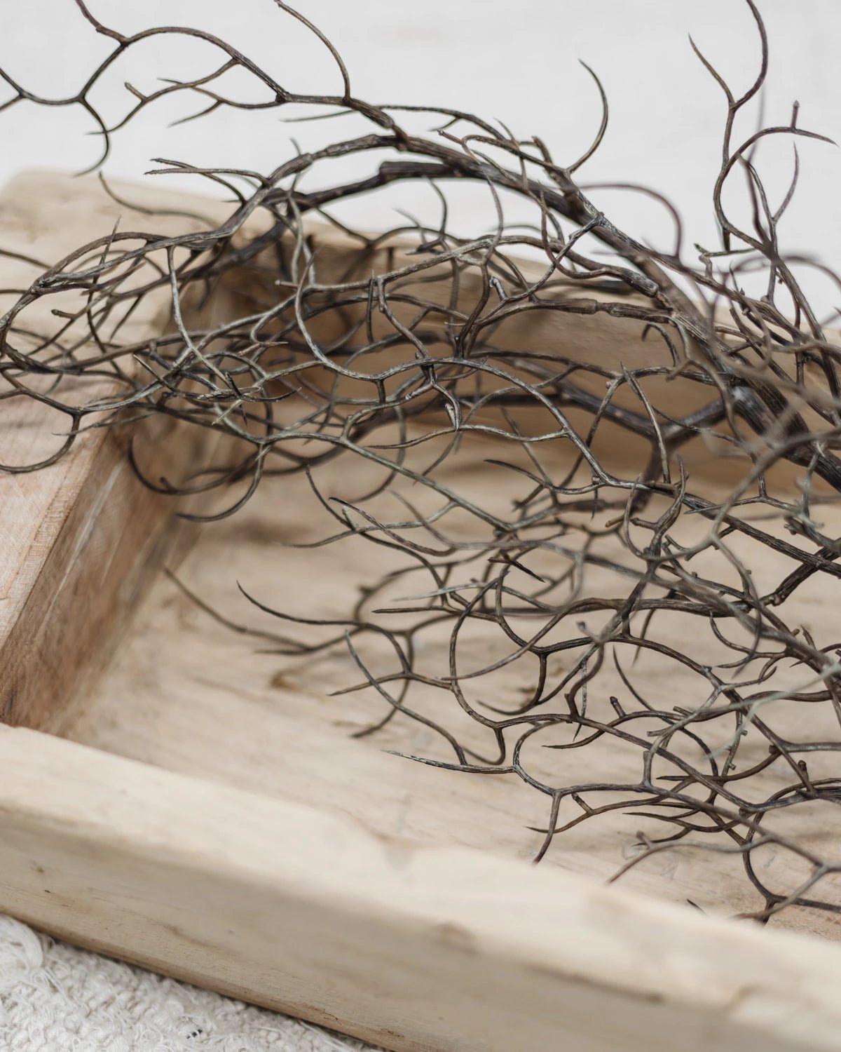 Faux Curly Twig Stem | 83cm - Wander & Wild Home