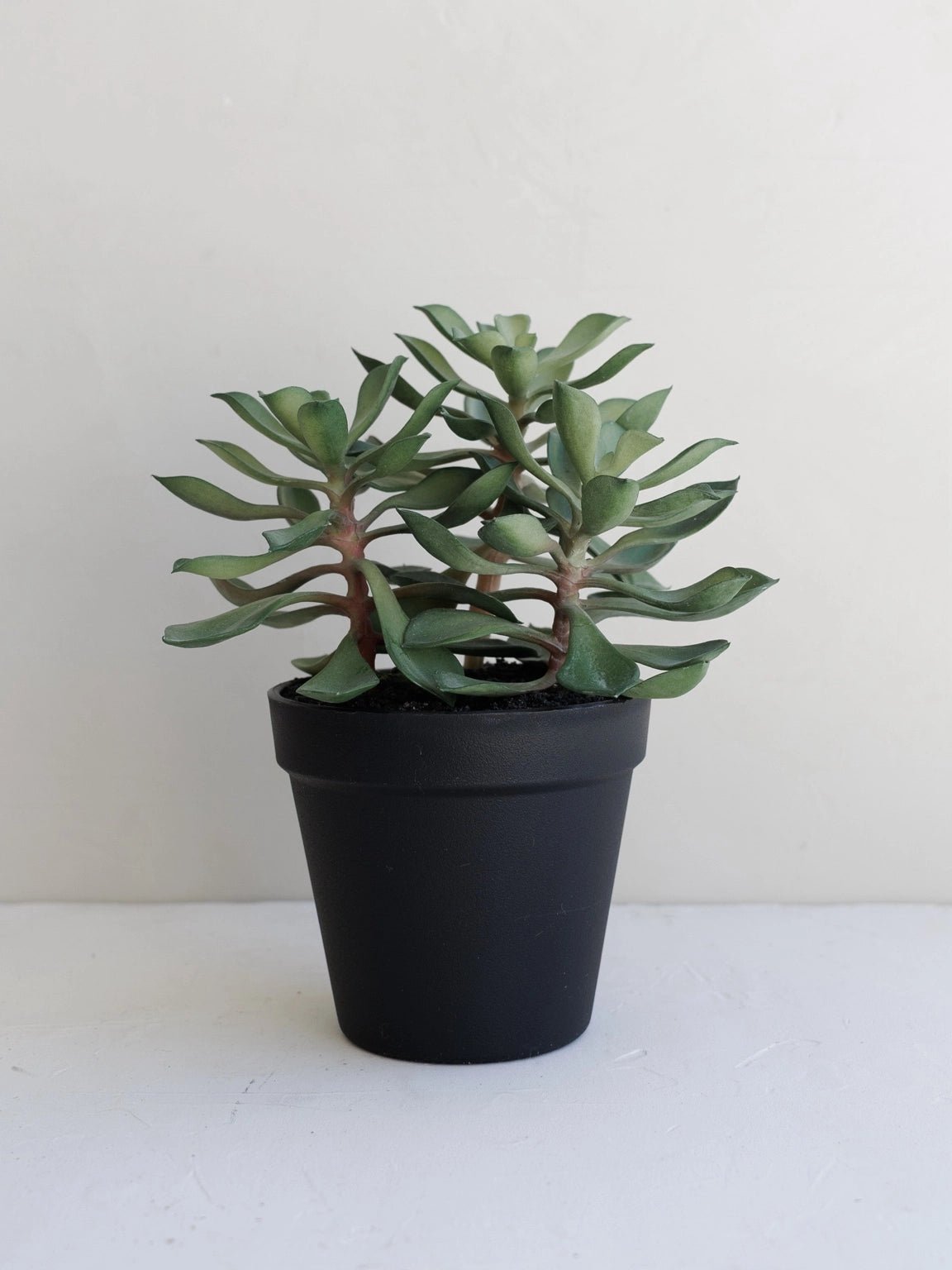 Faux Succulent in Pot | Green 20cm - Wander & Wild Home