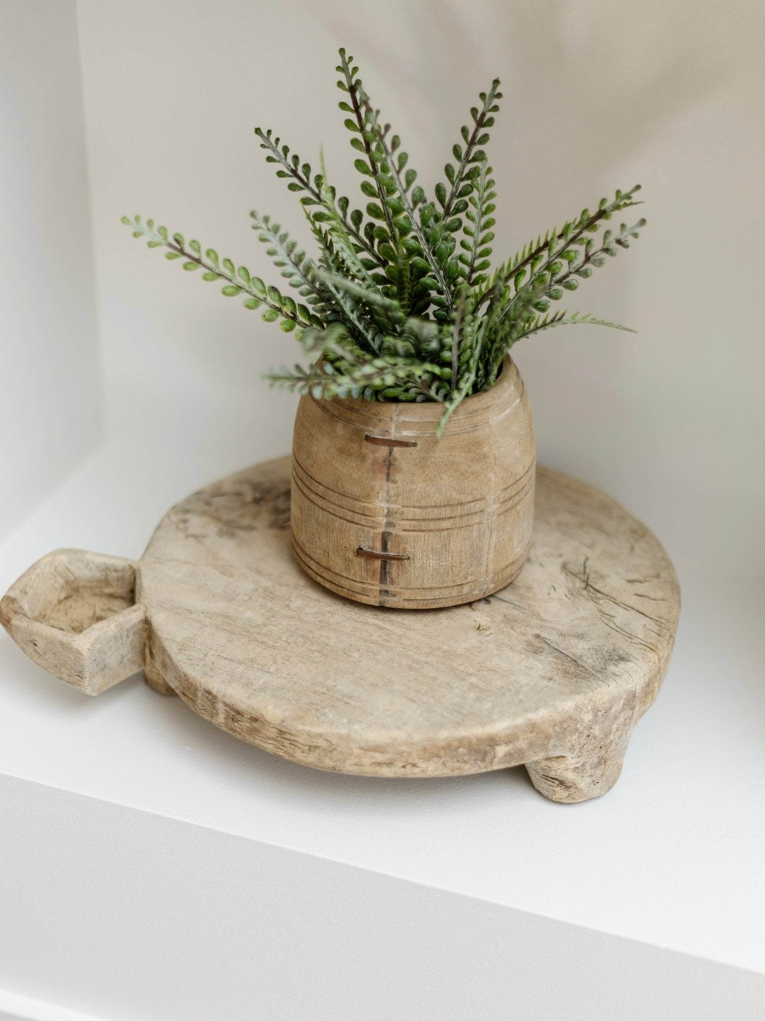 Fern Bush Stem | 33cm - Wander & Wild Home
