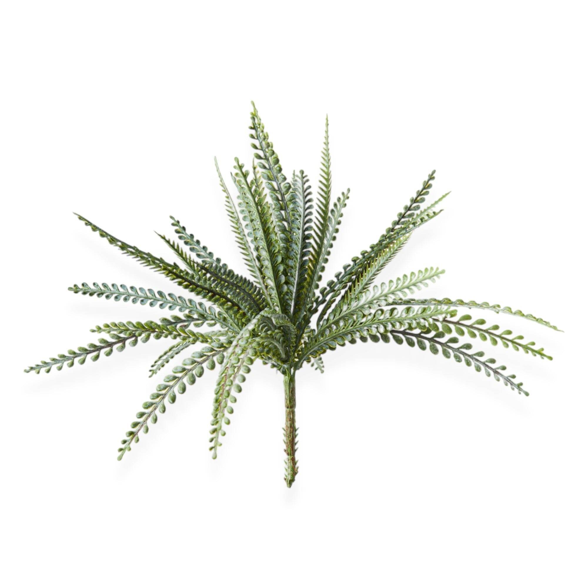 Fern Bush Stem | 33cm - Wander & Wild Home
