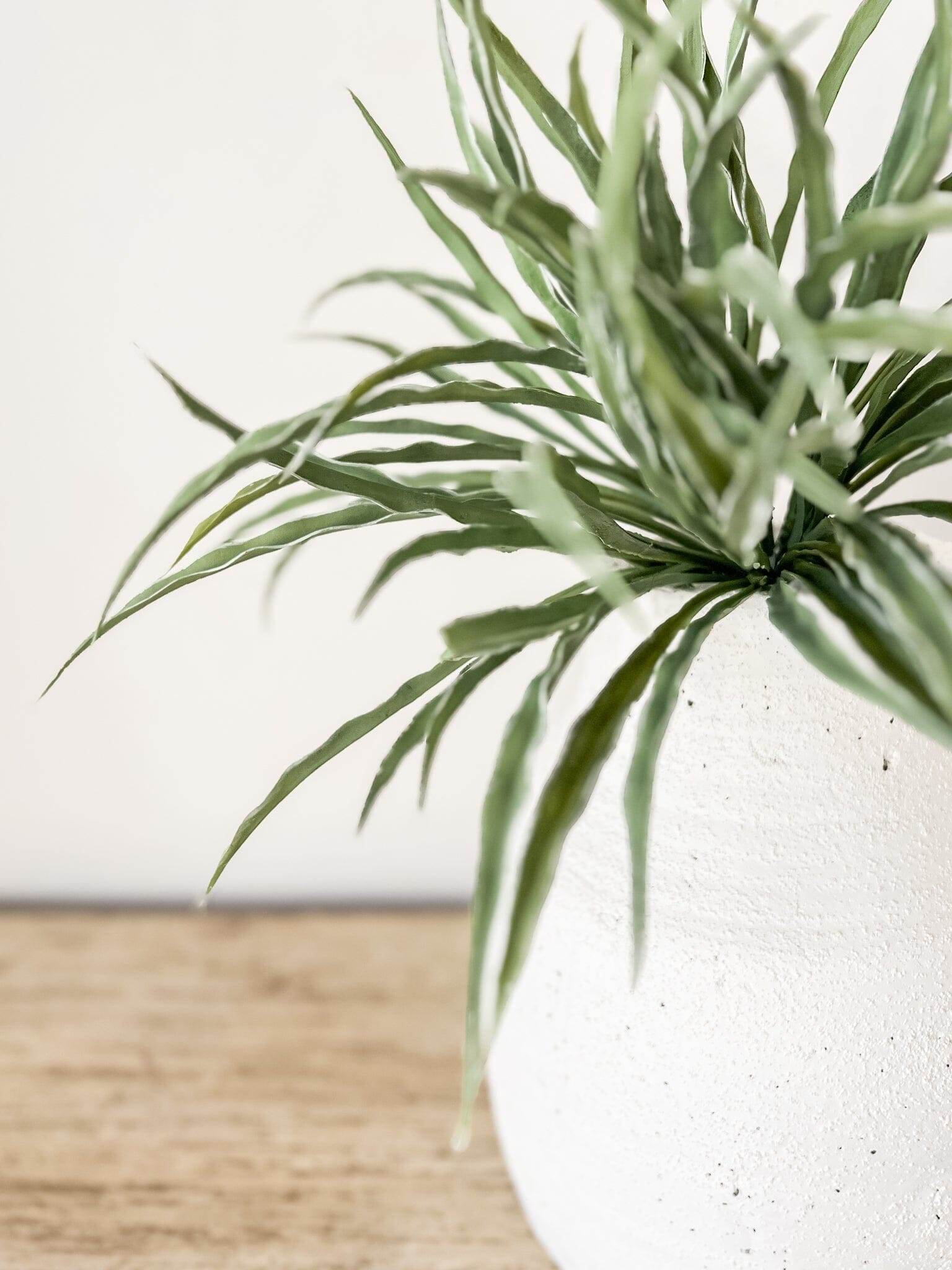 Grass Bush Stem | 30cm - Wander & Wild Home