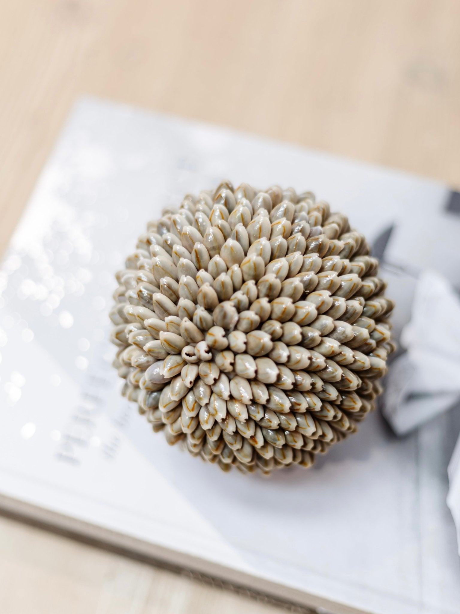 Iska | Cowrie Shell Ball - Wander & Wild Home