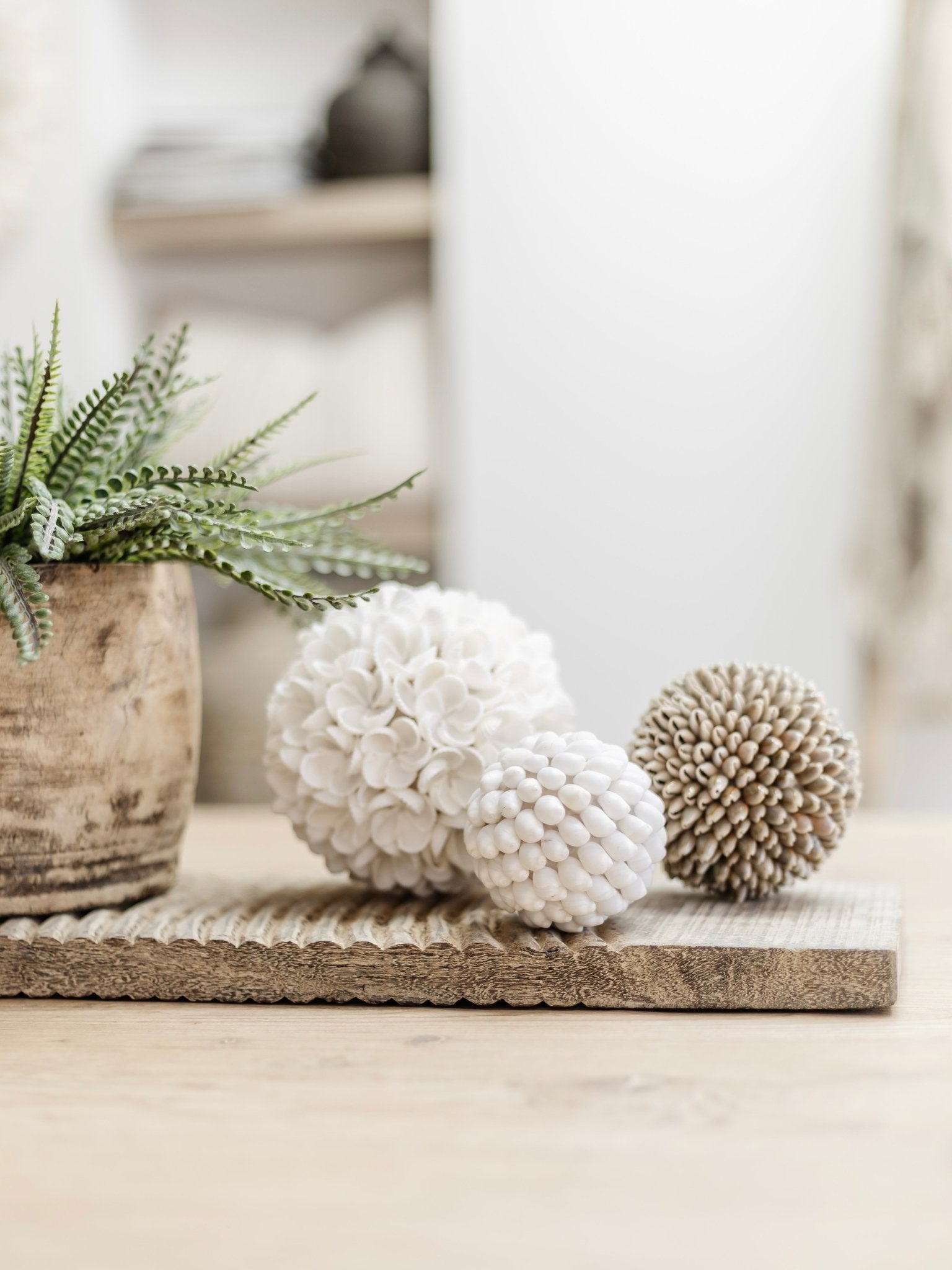 Ola | Smooth Shell Ball - Wander & Wild Home