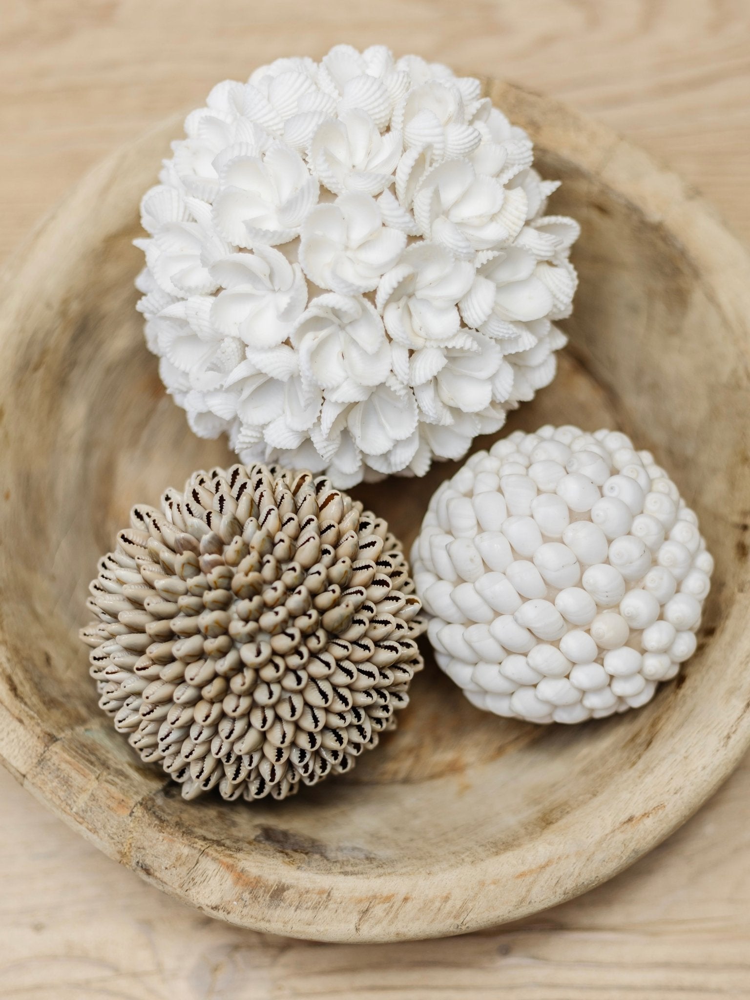 Ola | Smooth Shell Ball - Wander & Wild Home