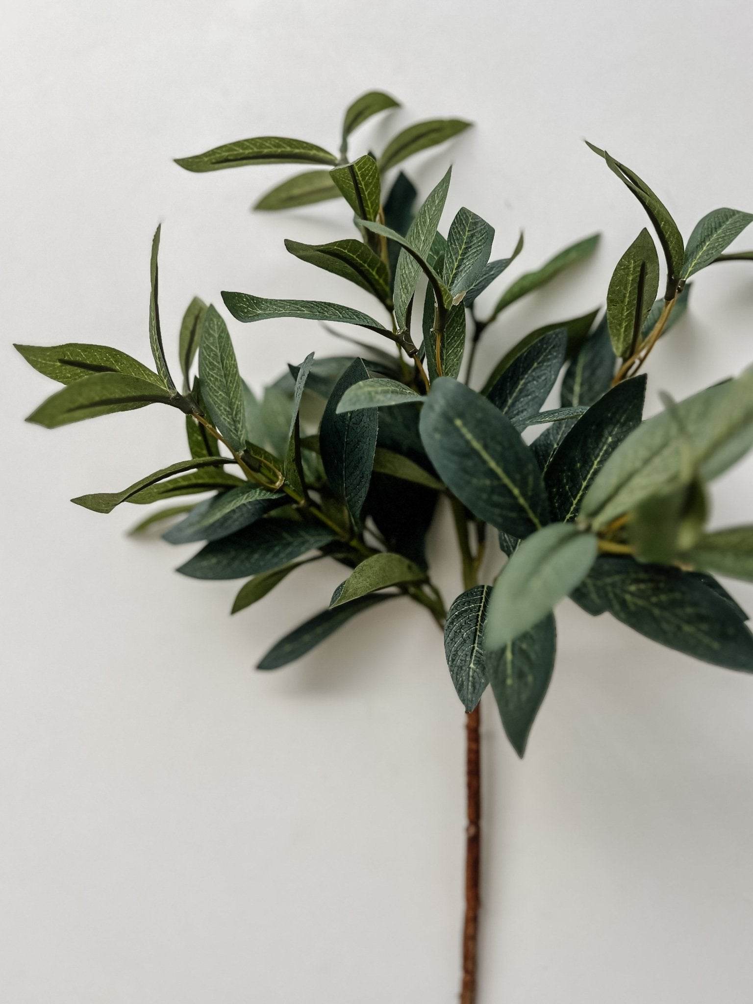 Olive Spray Stem | 40cm - Wander & Wild Home
