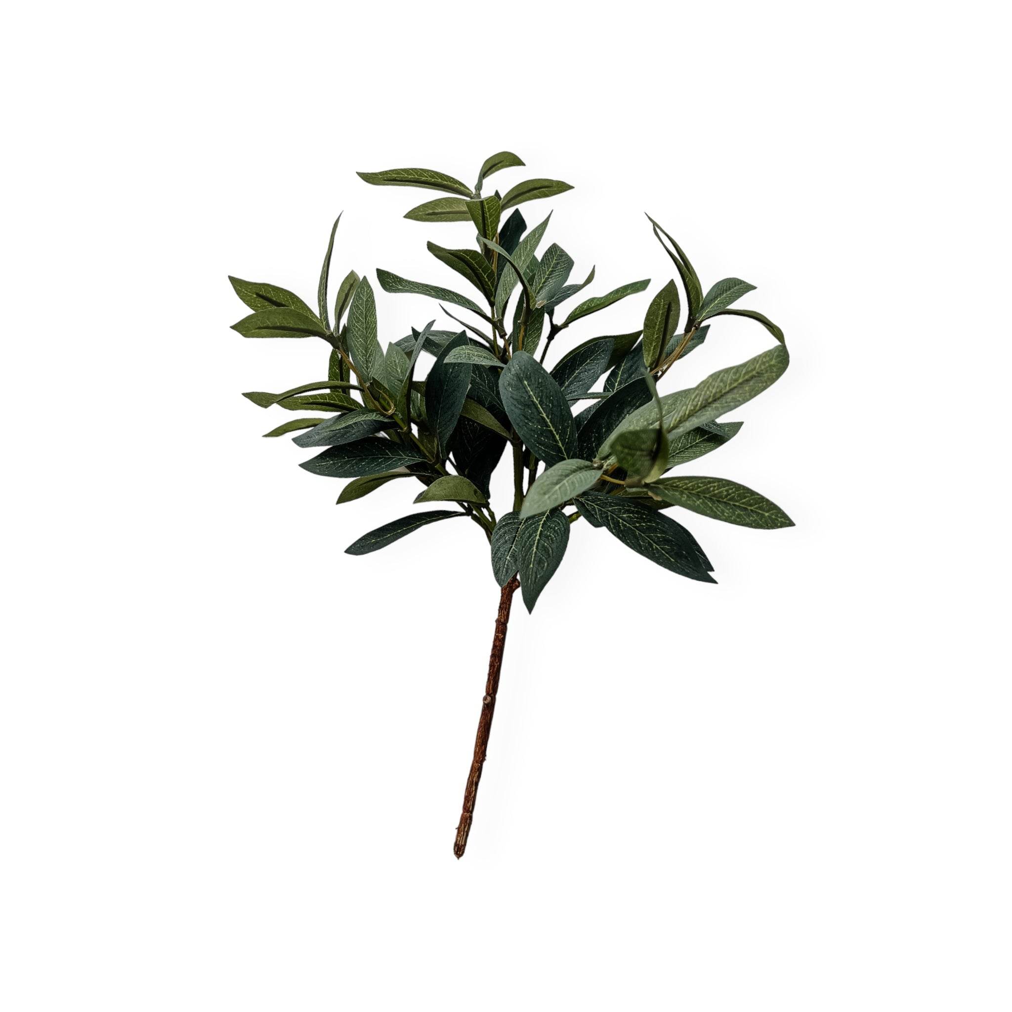 Olive Spray Stem | 40cm - Wander & Wild Home