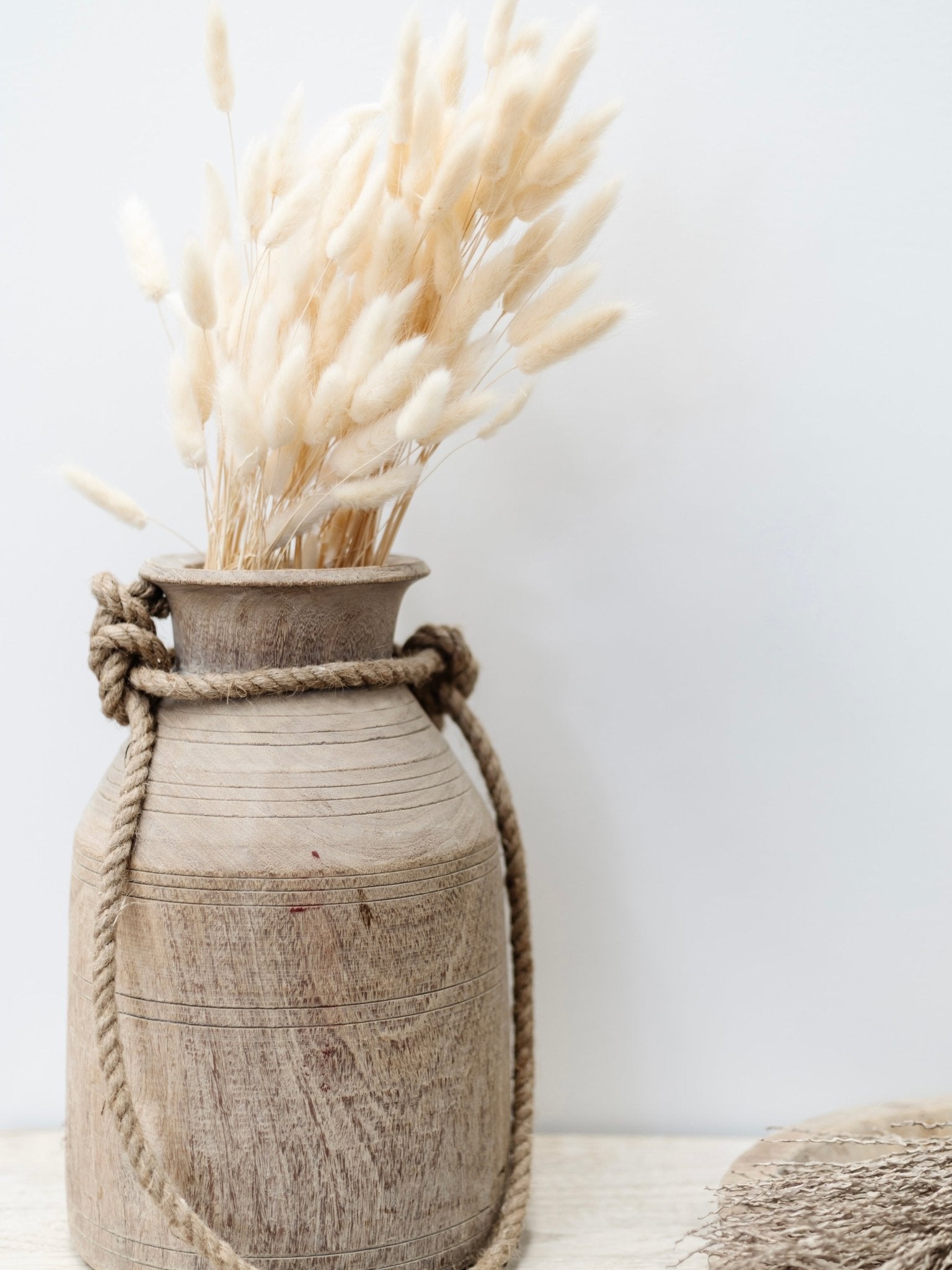 Preserved Bunny Tail spray - Wander & Wild Home