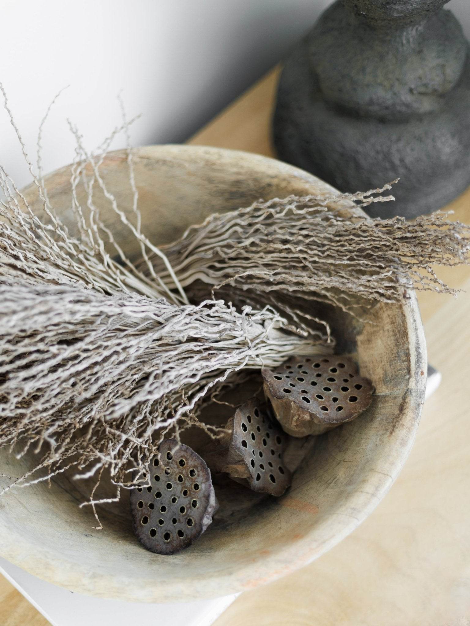 Preserved Lotus Pod (x2) | Natural - Wander & Wild Home