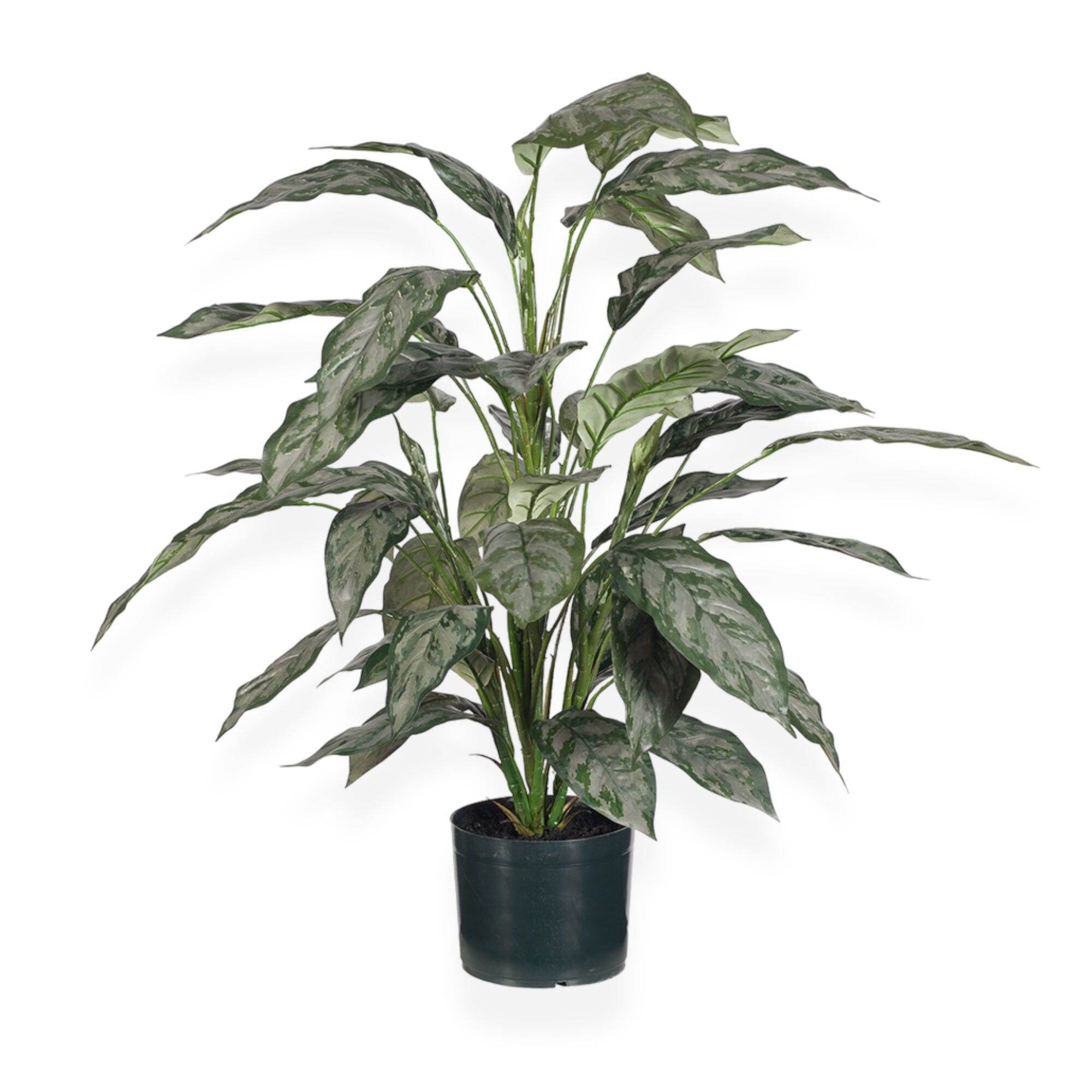 6+ Silver Queen Plant Faux Silver Queen Plant | 86cm – Full Foliage Statement Stem – Wander