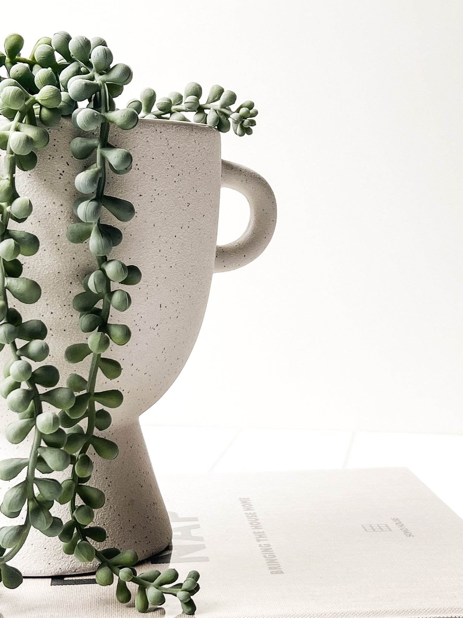 String Of Pearls - Wander & Wild Home