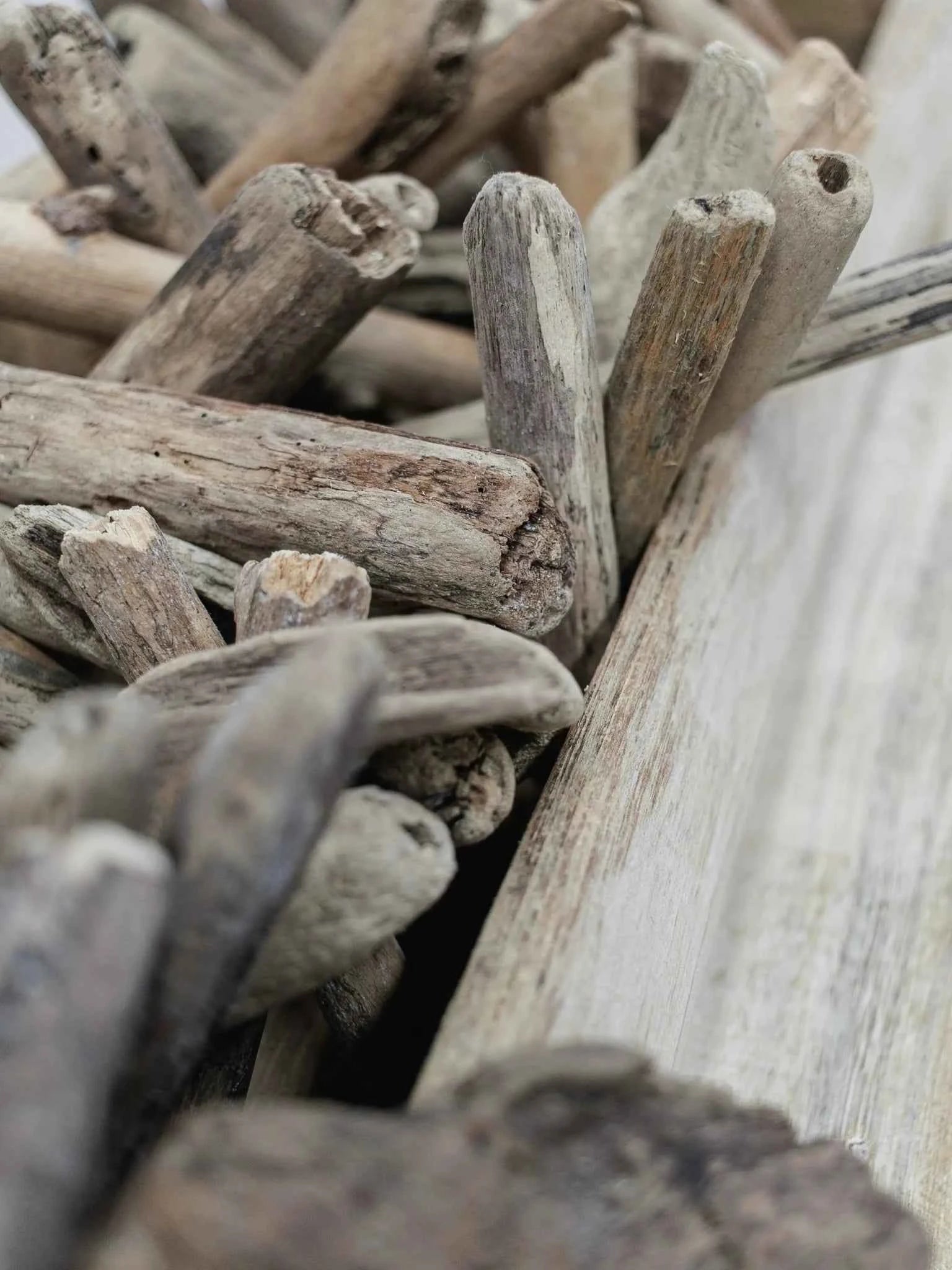 Taro | Natural Driftwood Garland