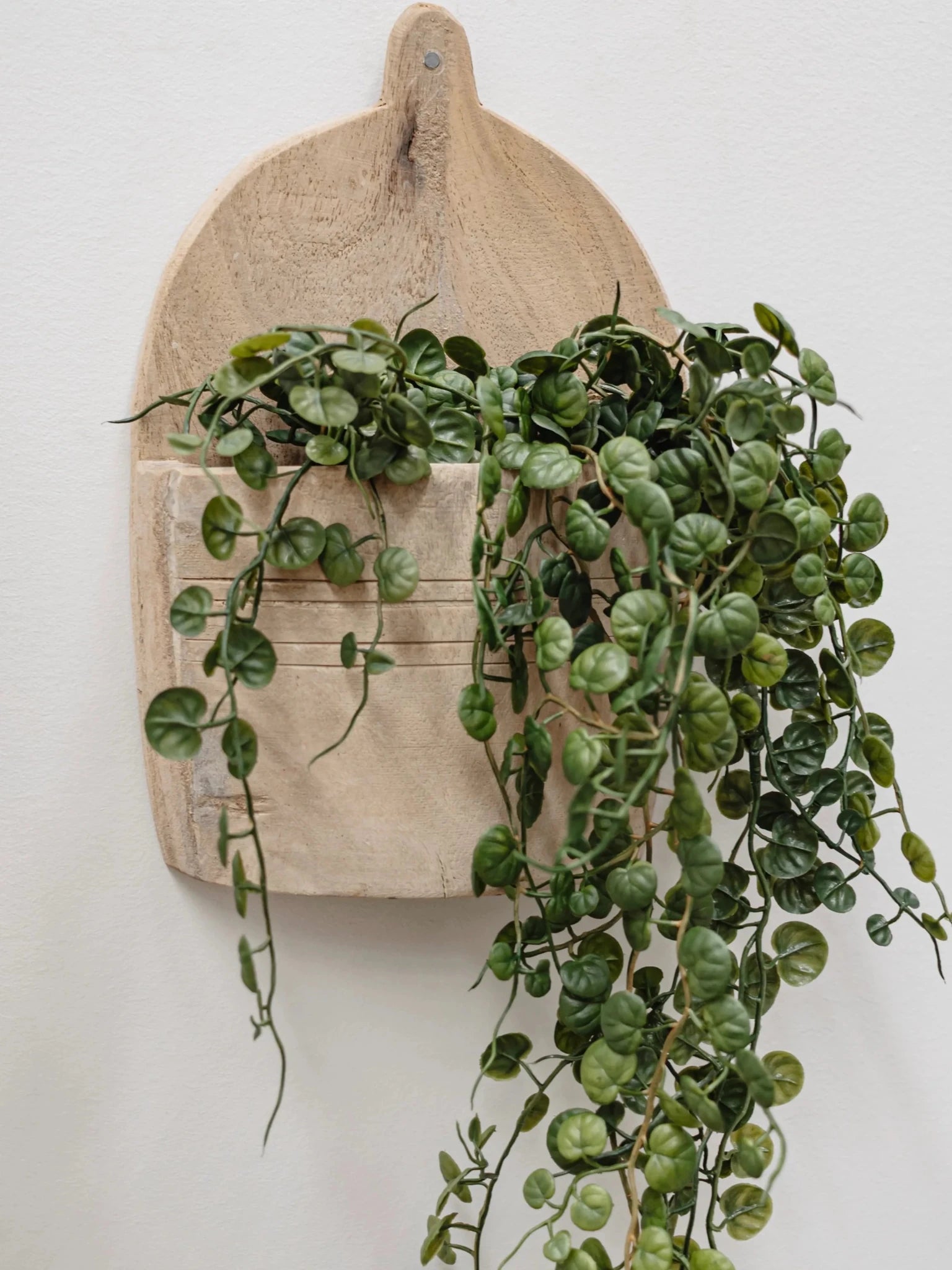 Vintage Indian Wall Box Hanging - Wander & Wild Home