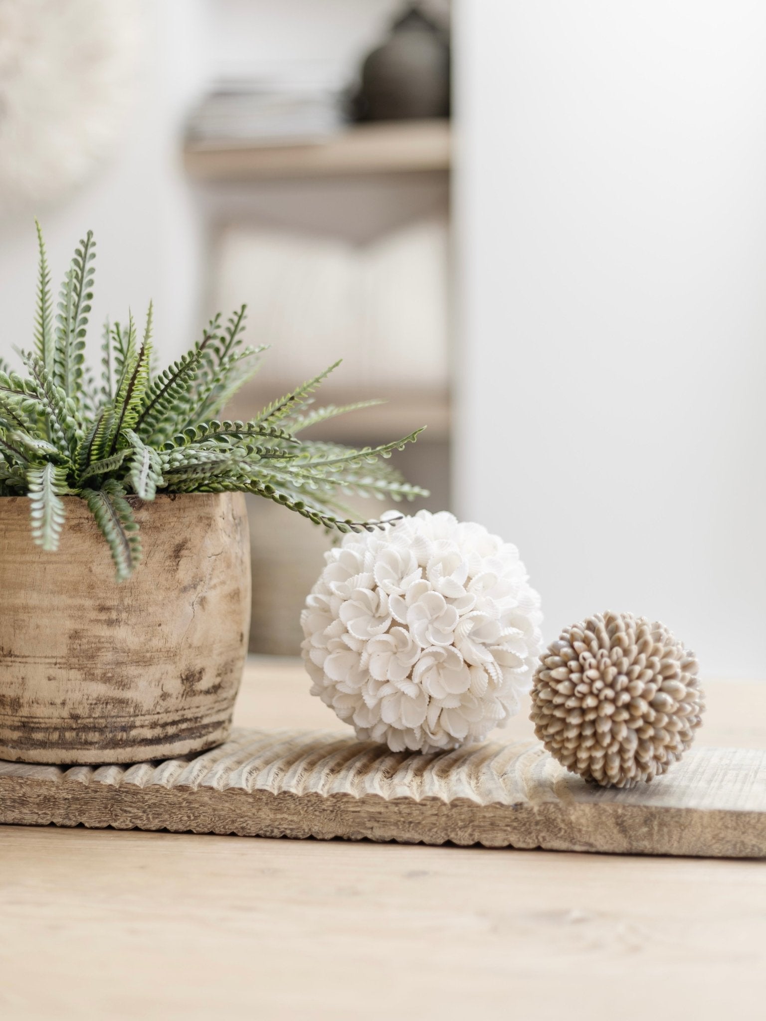 Yara | Frangipani Shell Ball - Wander & Wild Home