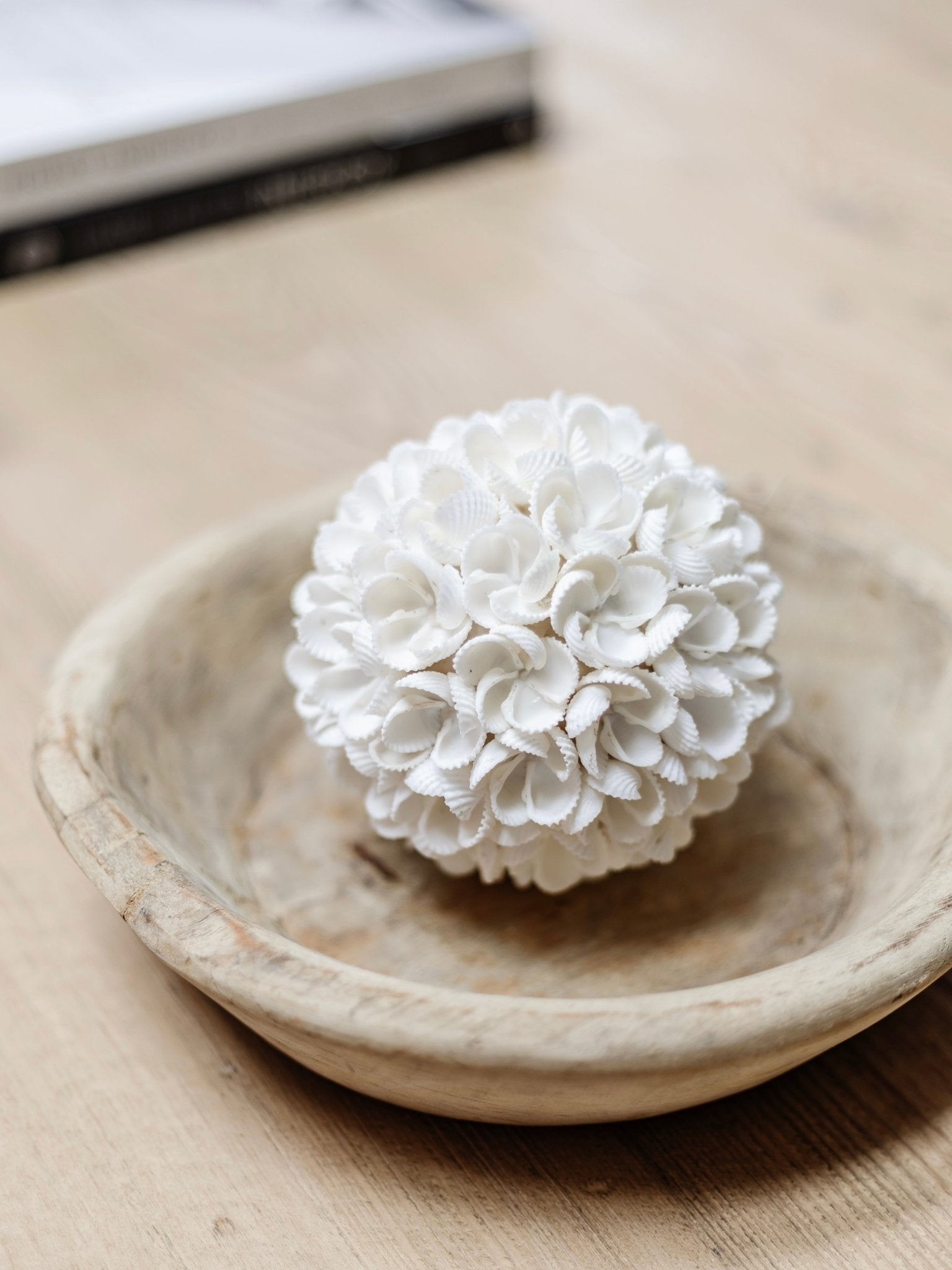 Yara | Frangipani Shell Ball - Wander & Wild Home