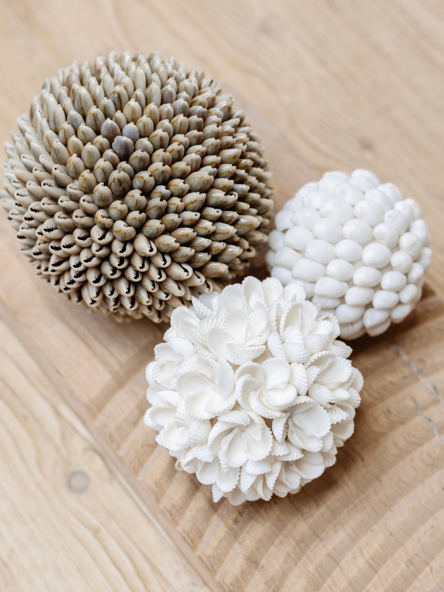 Yara | Frangipani Shell Ball - Wander & Wild Home