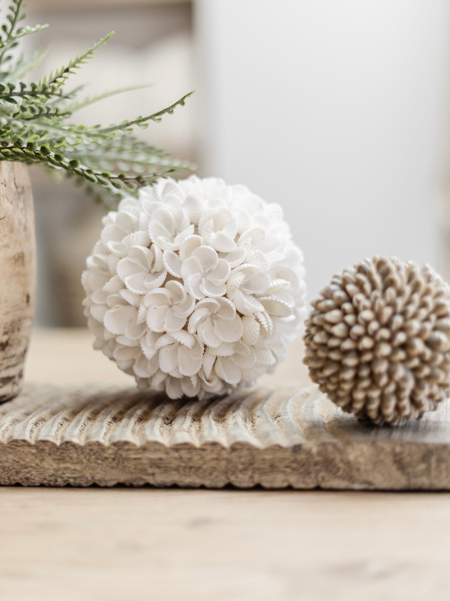 Yara | Frangipani Shell Ball - Wander & Wild Home