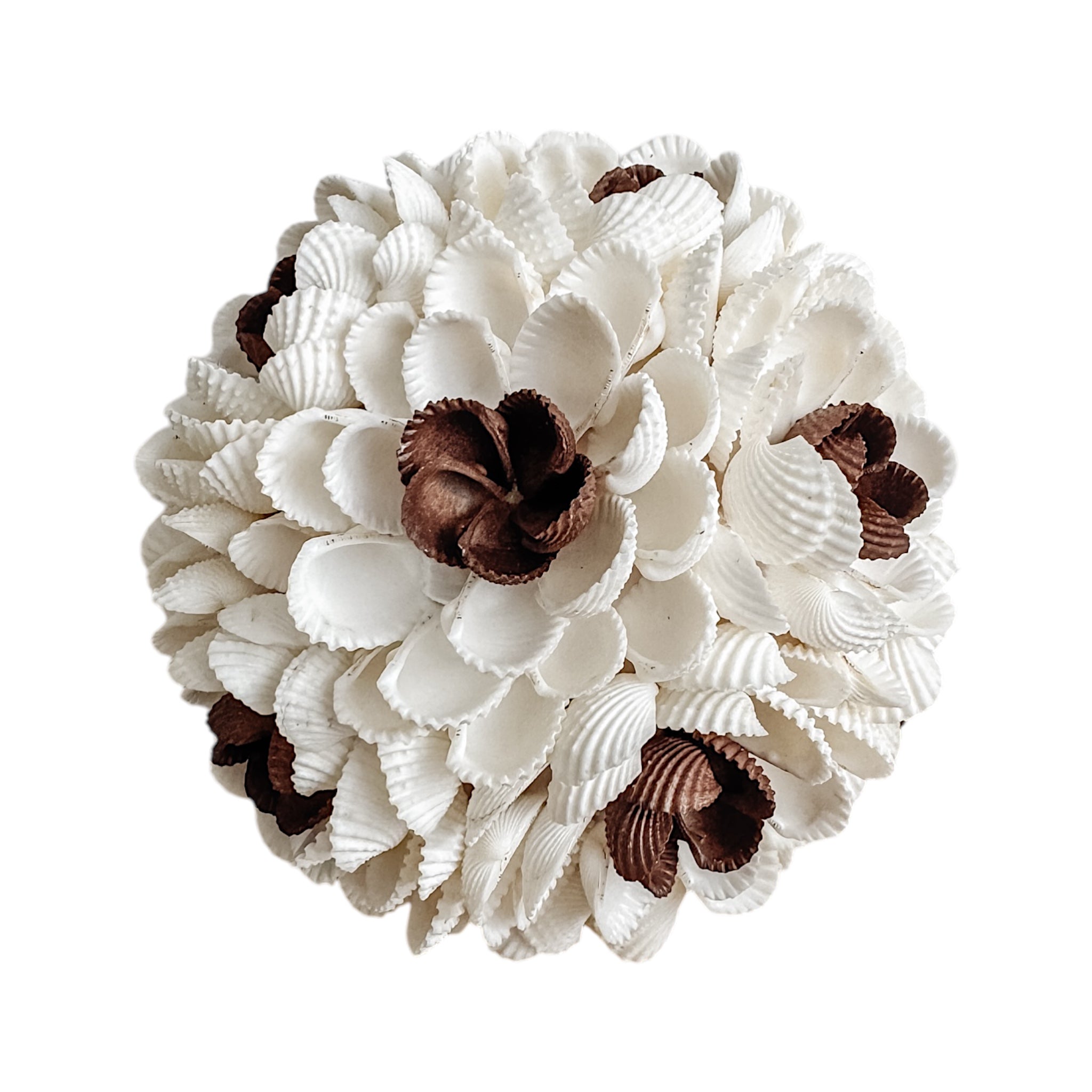 Zaya | Textured Shell Ball - Wander & Wild Home