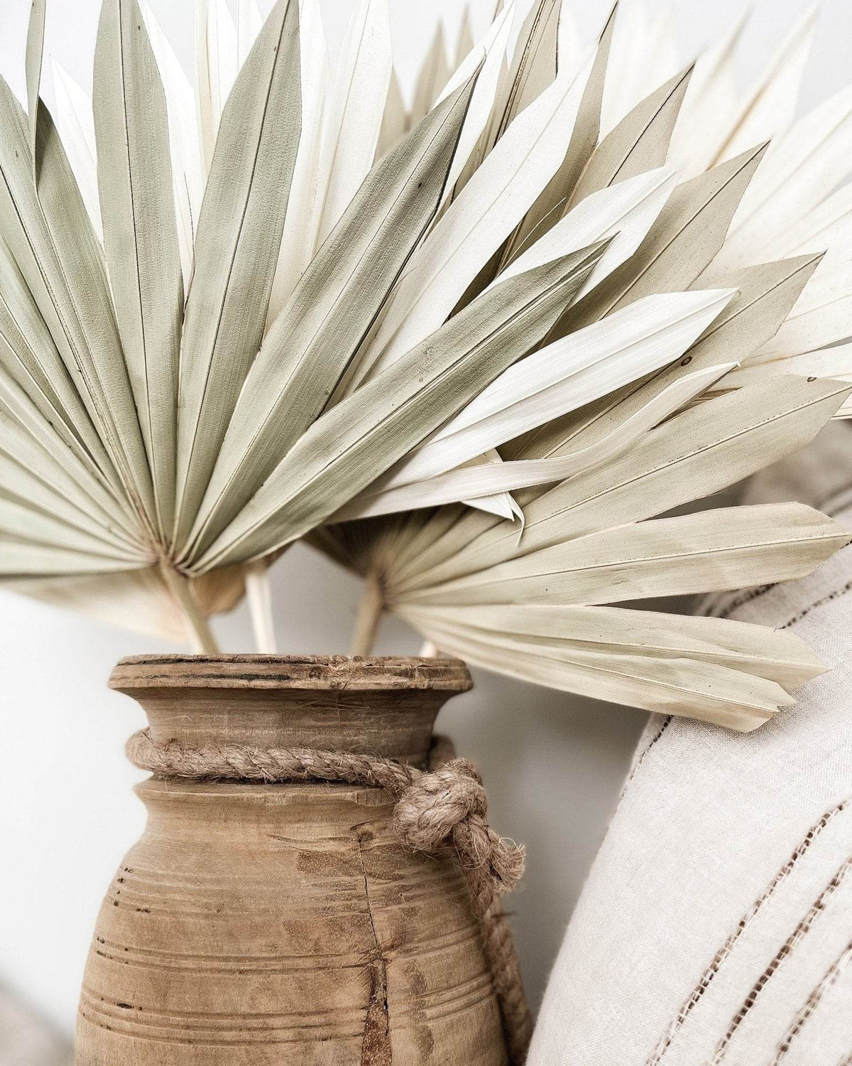 Dried Palm Fans | Natural - Wander & Wild Home