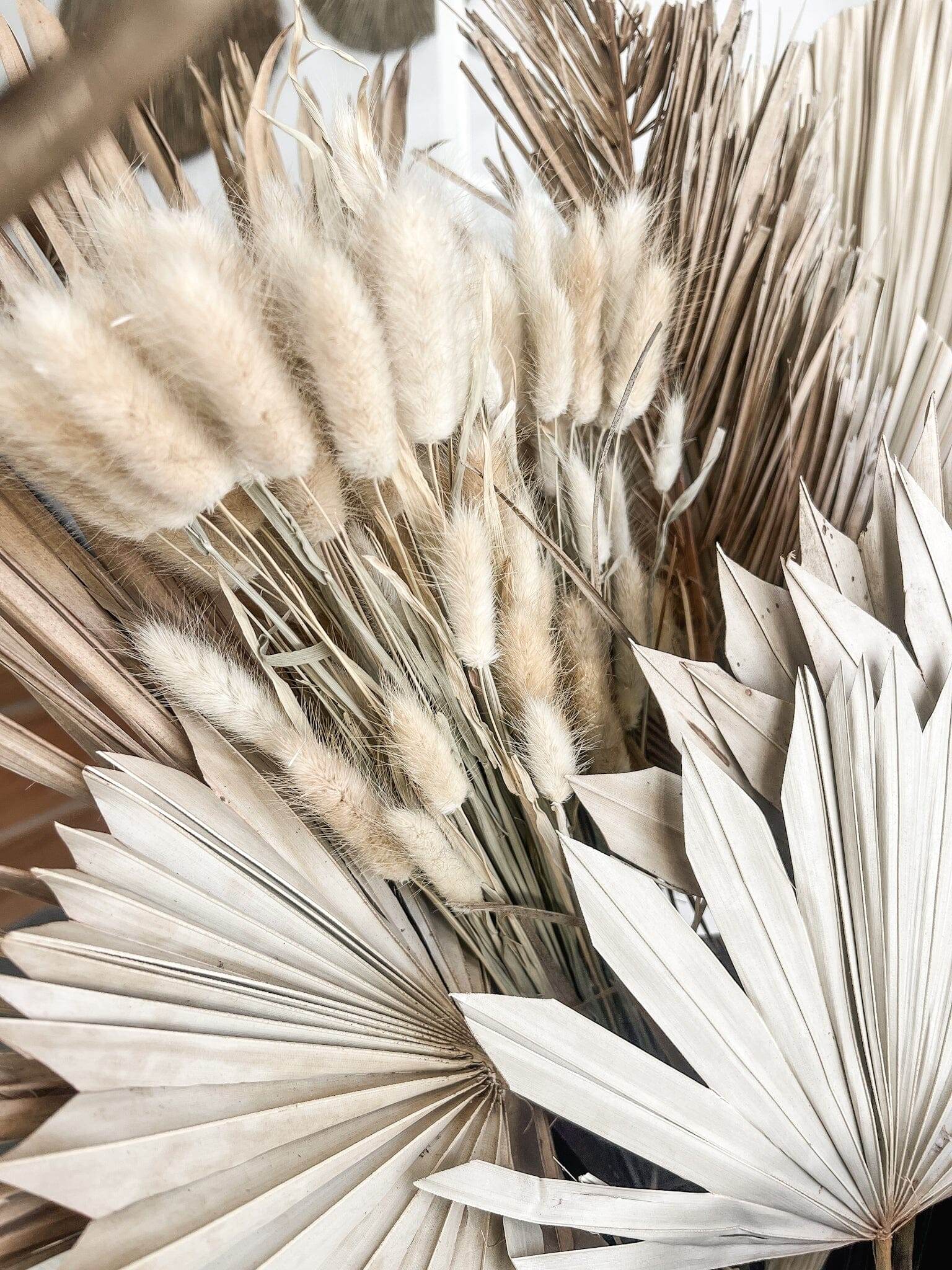 Preserved Bunny Tail spray - Wander & Wild Home