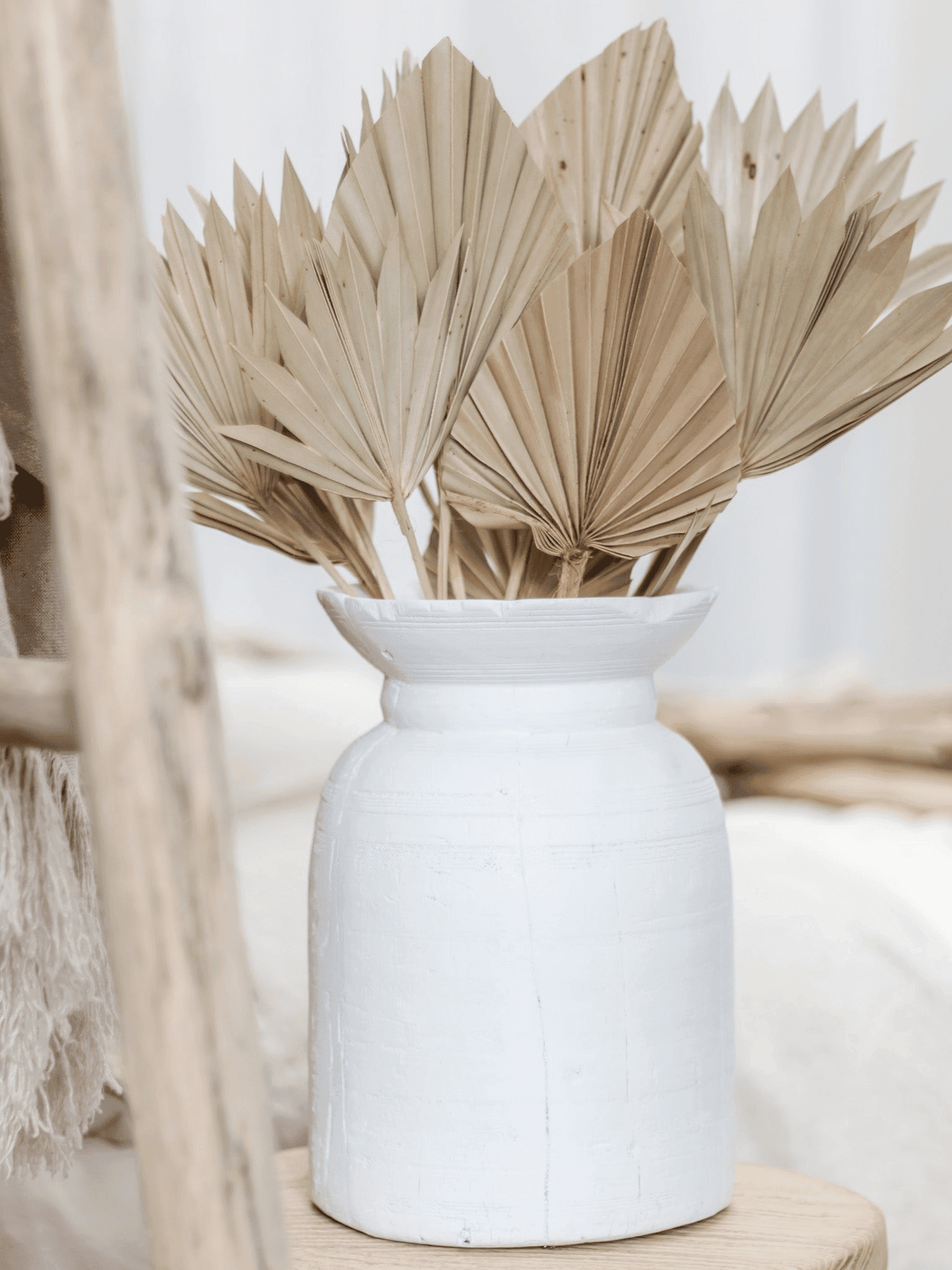 Plants, Foliage & Fillers - Wander & Wild Home