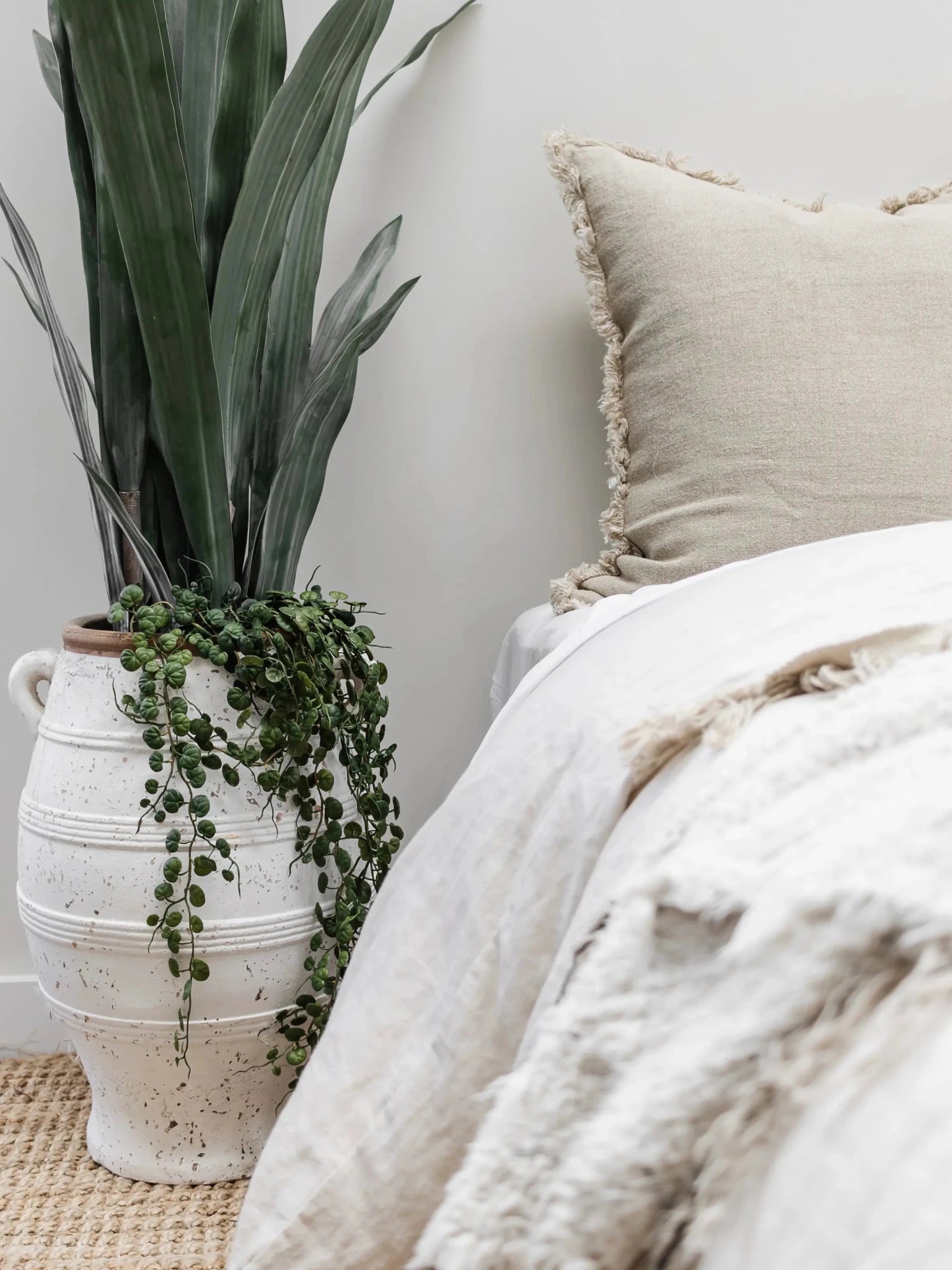 Button Fern Hanging Stem | 86cm - Wander & Wild Home