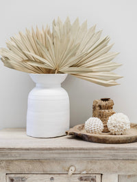 Dried Palm Fans | Natural - Wander & Wild Home