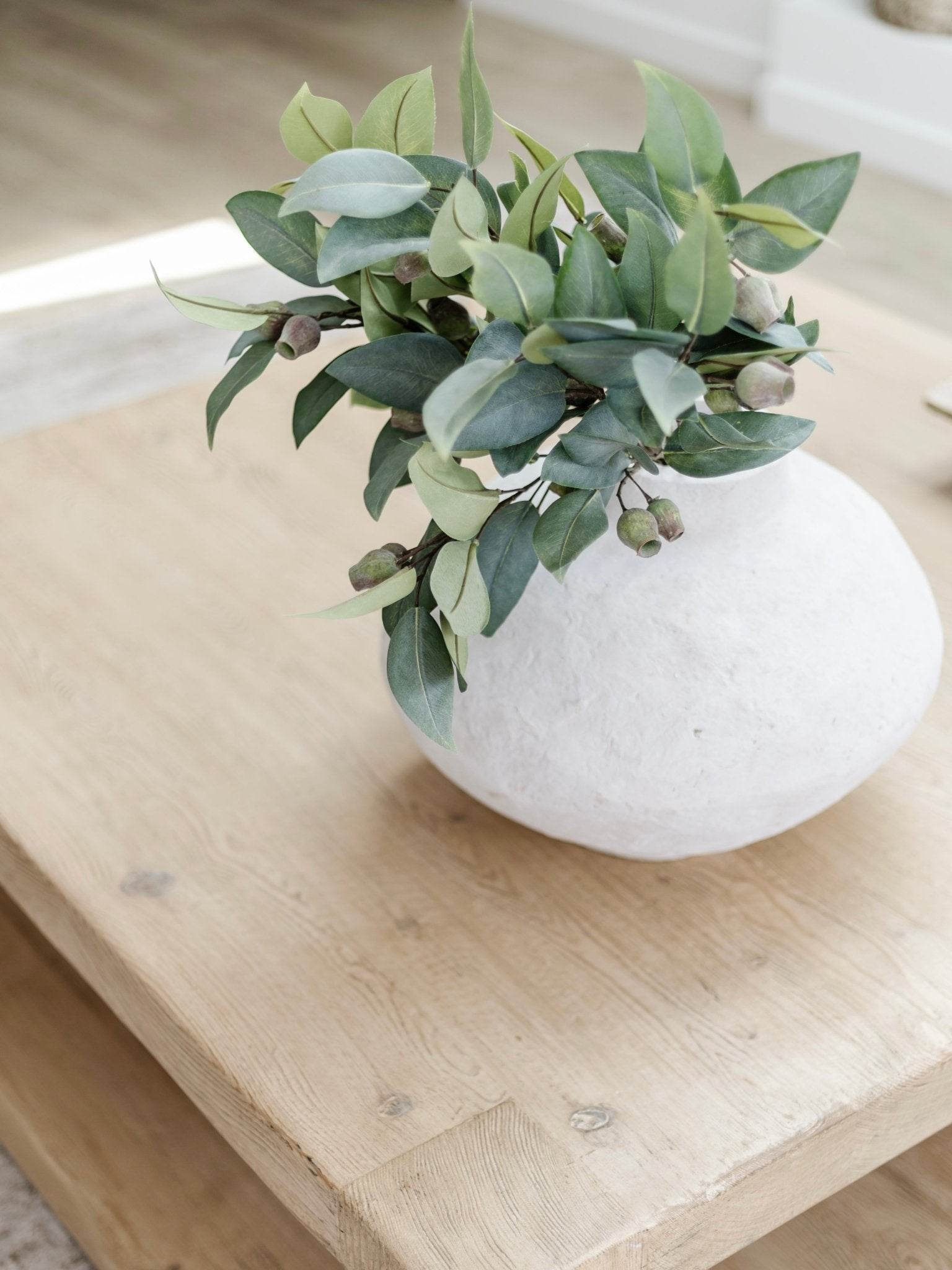 Eucalyptus Gum Nut Stem | 61cm - Wander & Wild Home