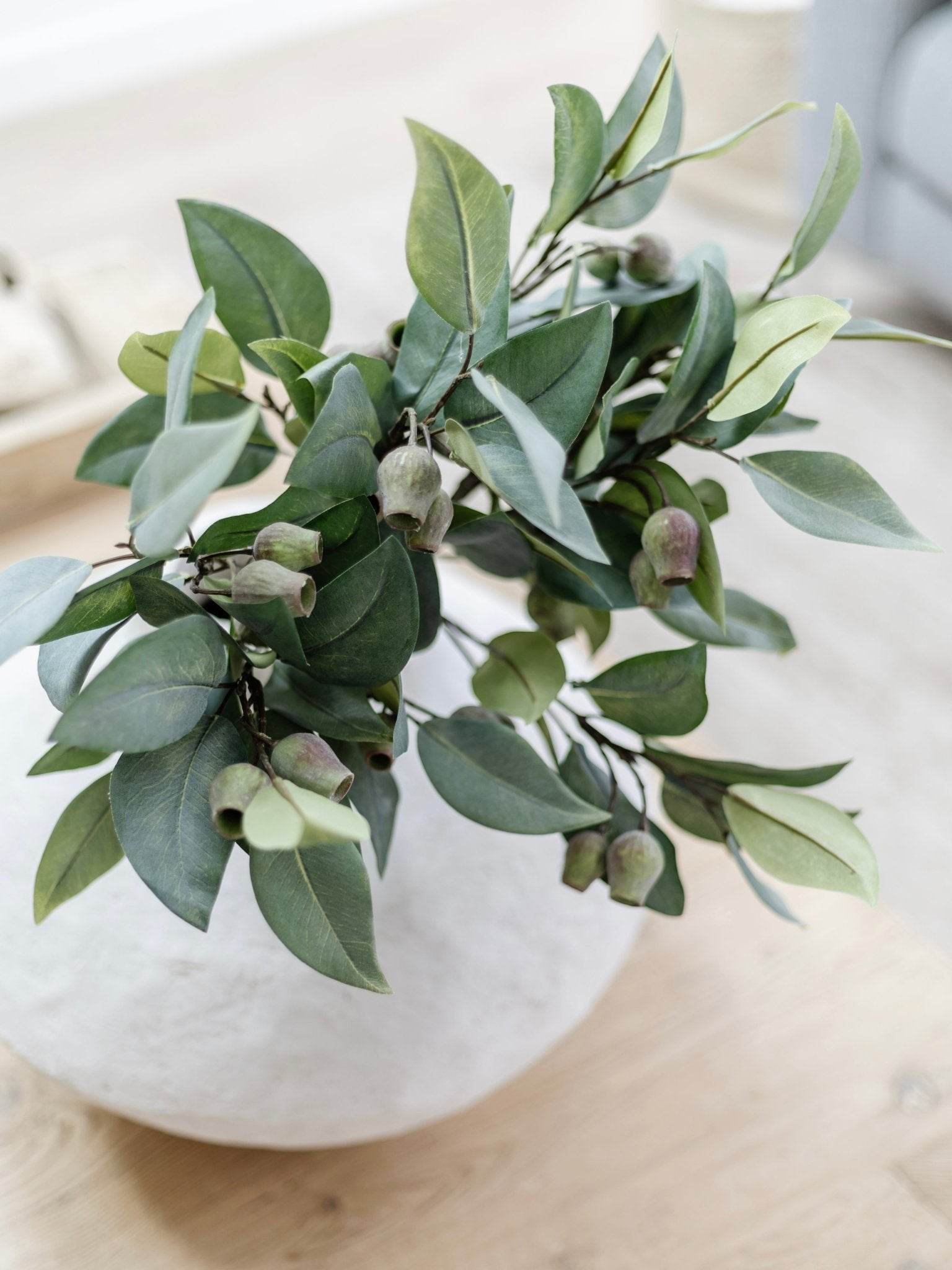 Eucalyptus Gum Nut Stem | 61cm - Wander & Wild Home