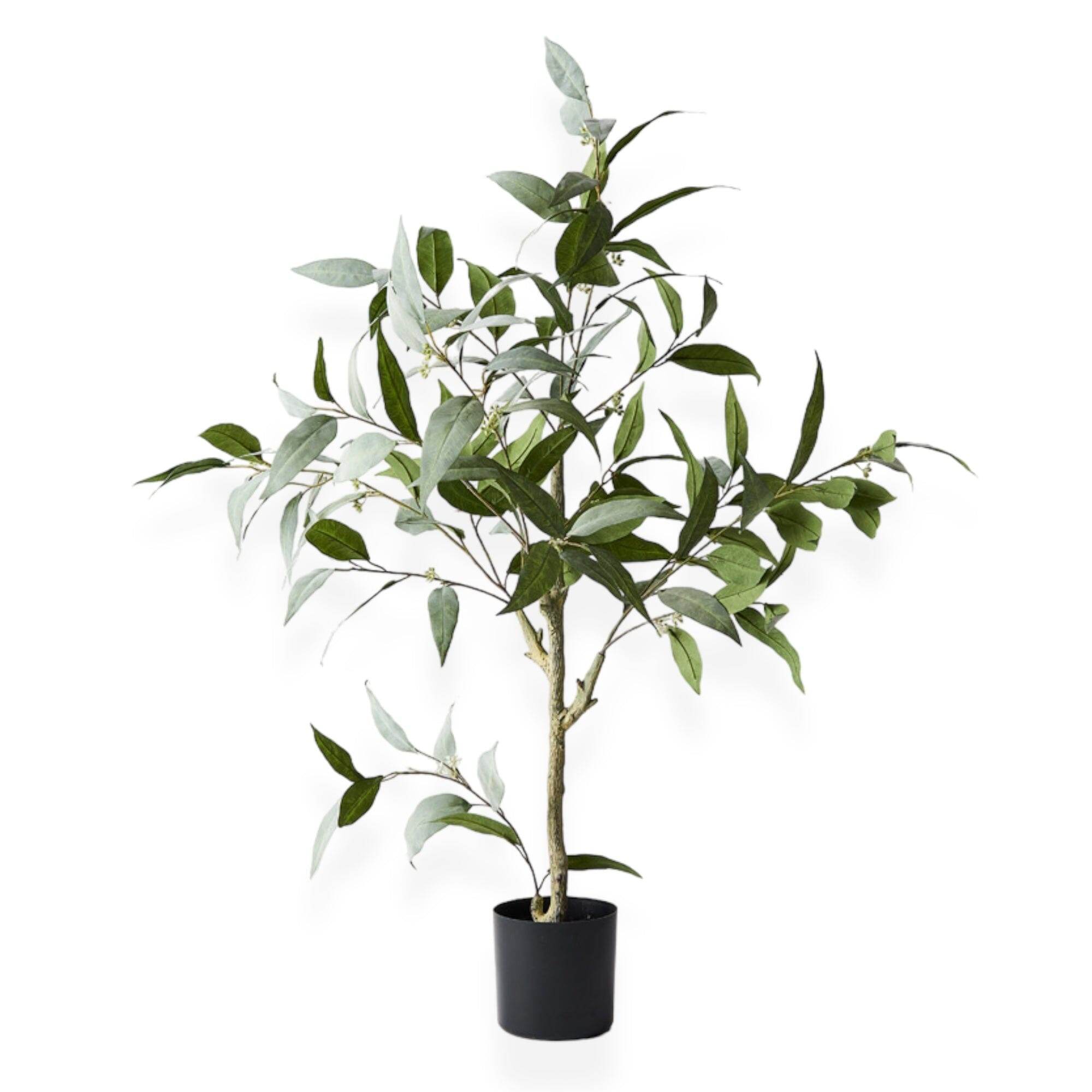 Eucalyptus Tree | 90cm - Wander & Wild Home