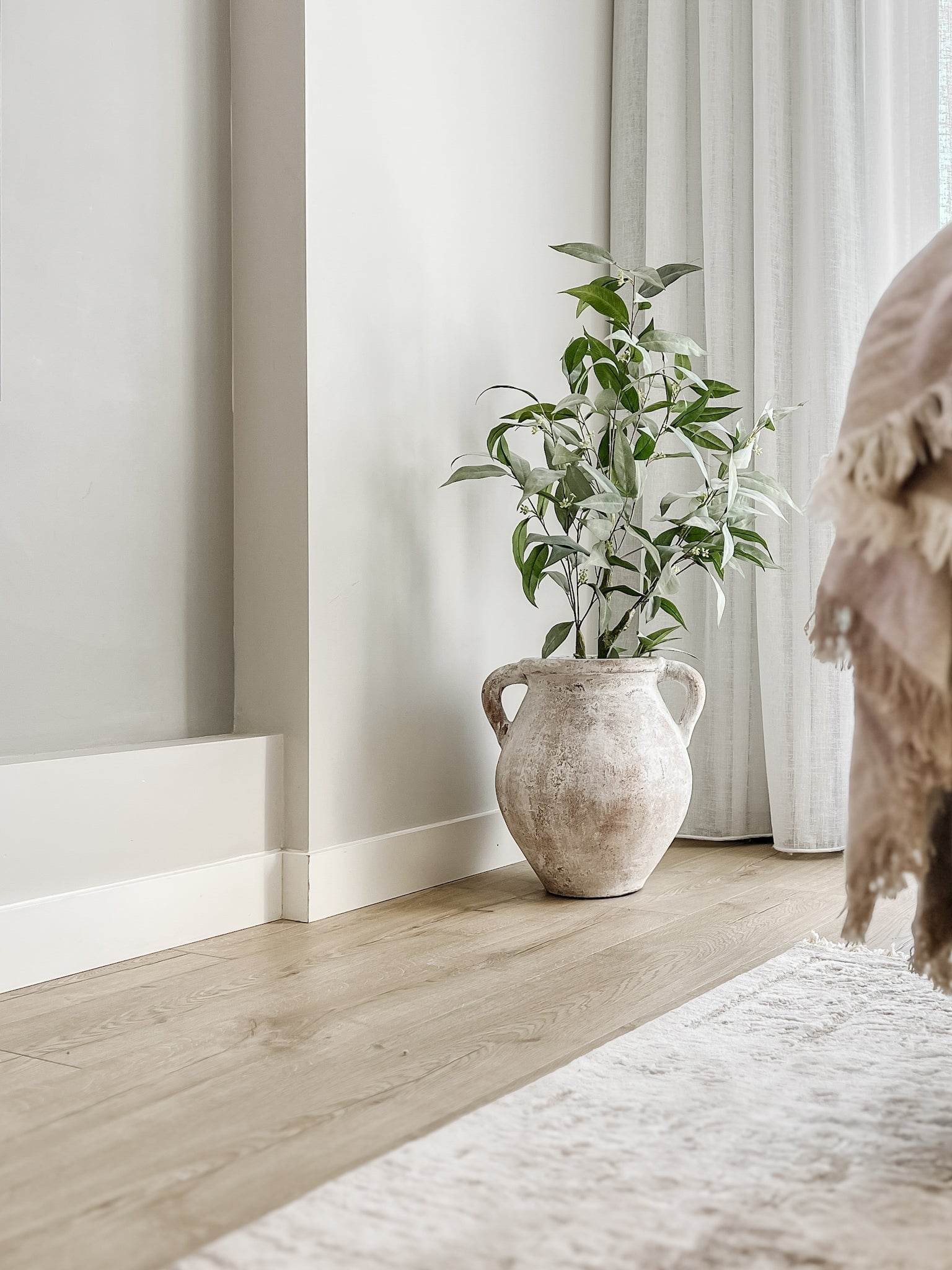 Eucalyptus Tree | 90cm - Wander & Wild Home