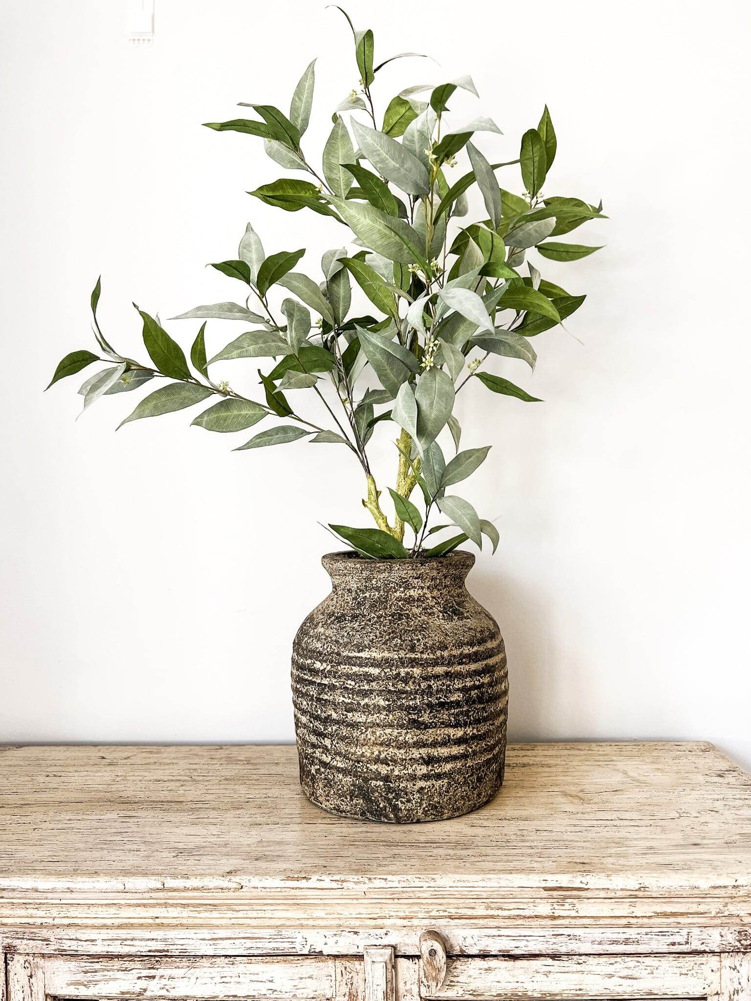 Eucalyptus Tree | 90cm - Wander & Wild Home