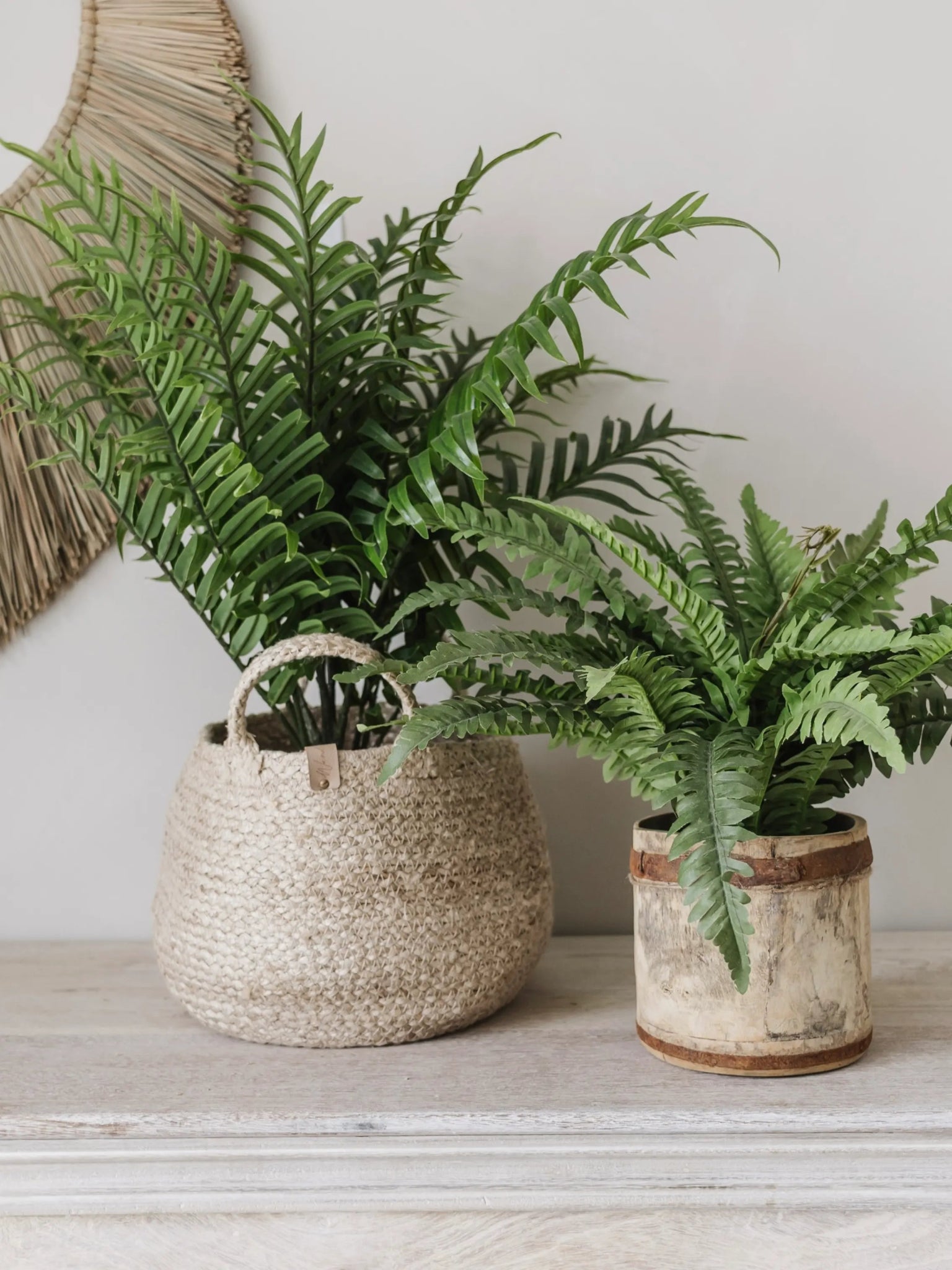 Faux Boston Fern | Med/Lge - Wander & Wild Home