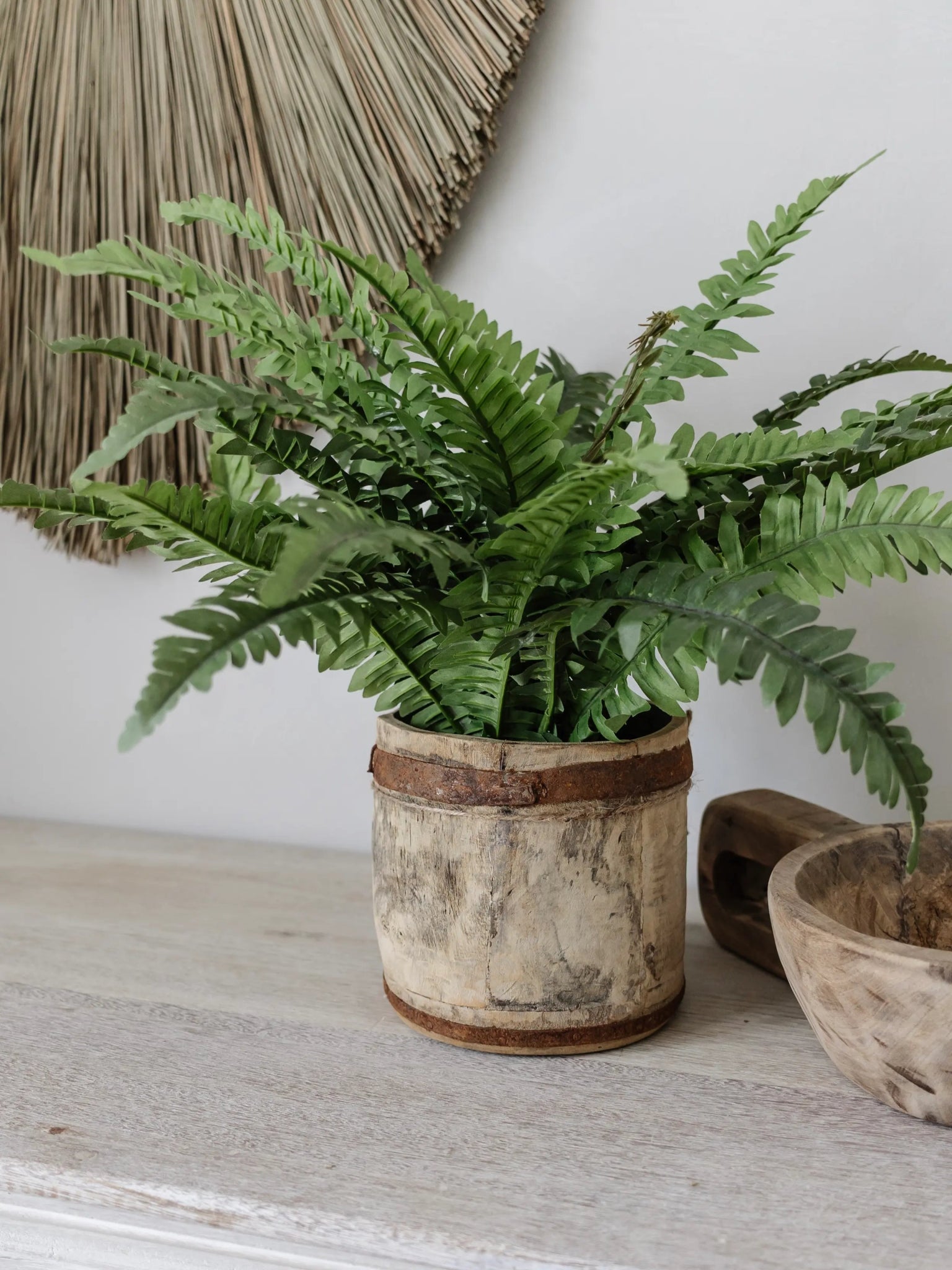 Faux Boston Fern | Med/Lge - Wander & Wild Home